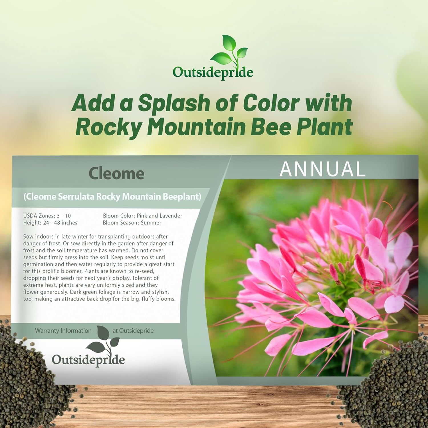 Cleome Serrulata Flower Seed Packet