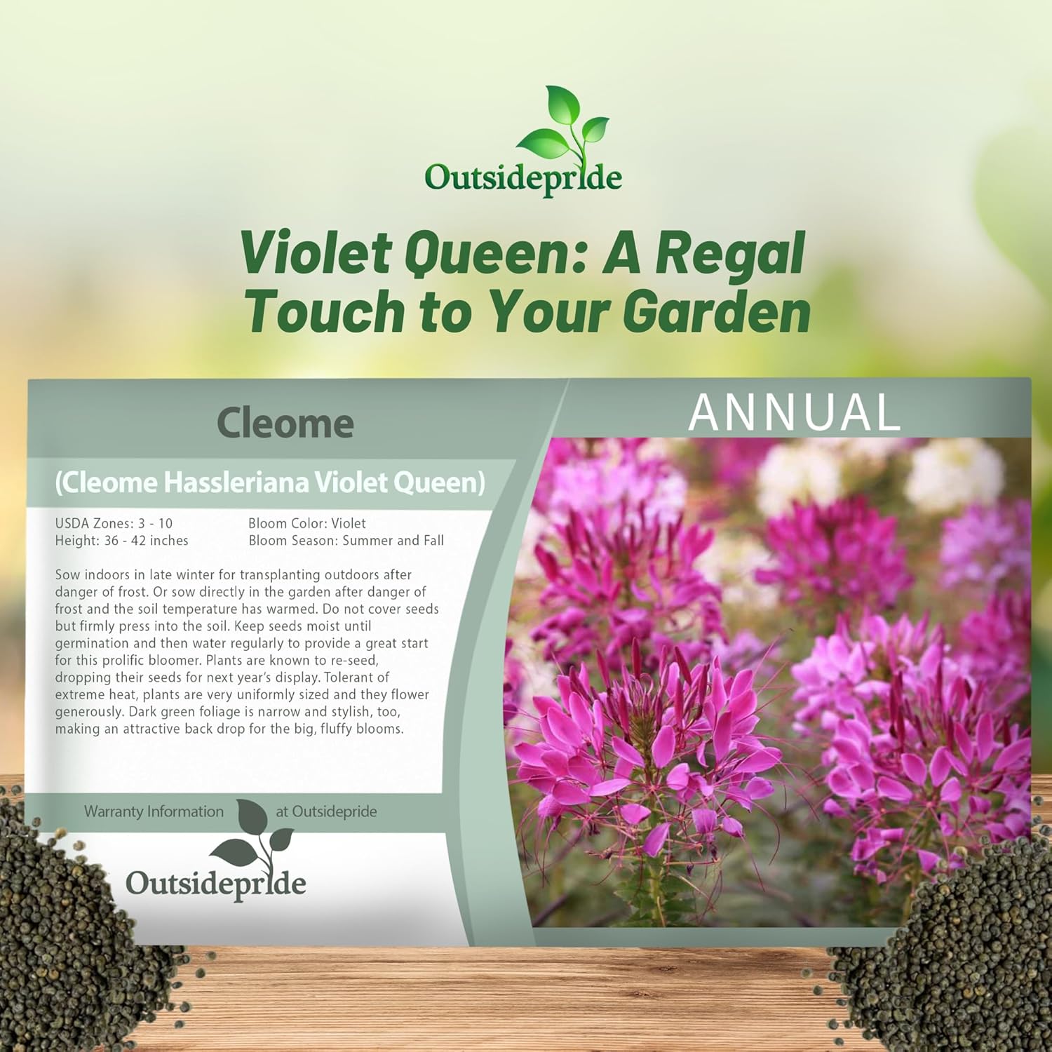 Cleome Violet Flower Seed Packet
