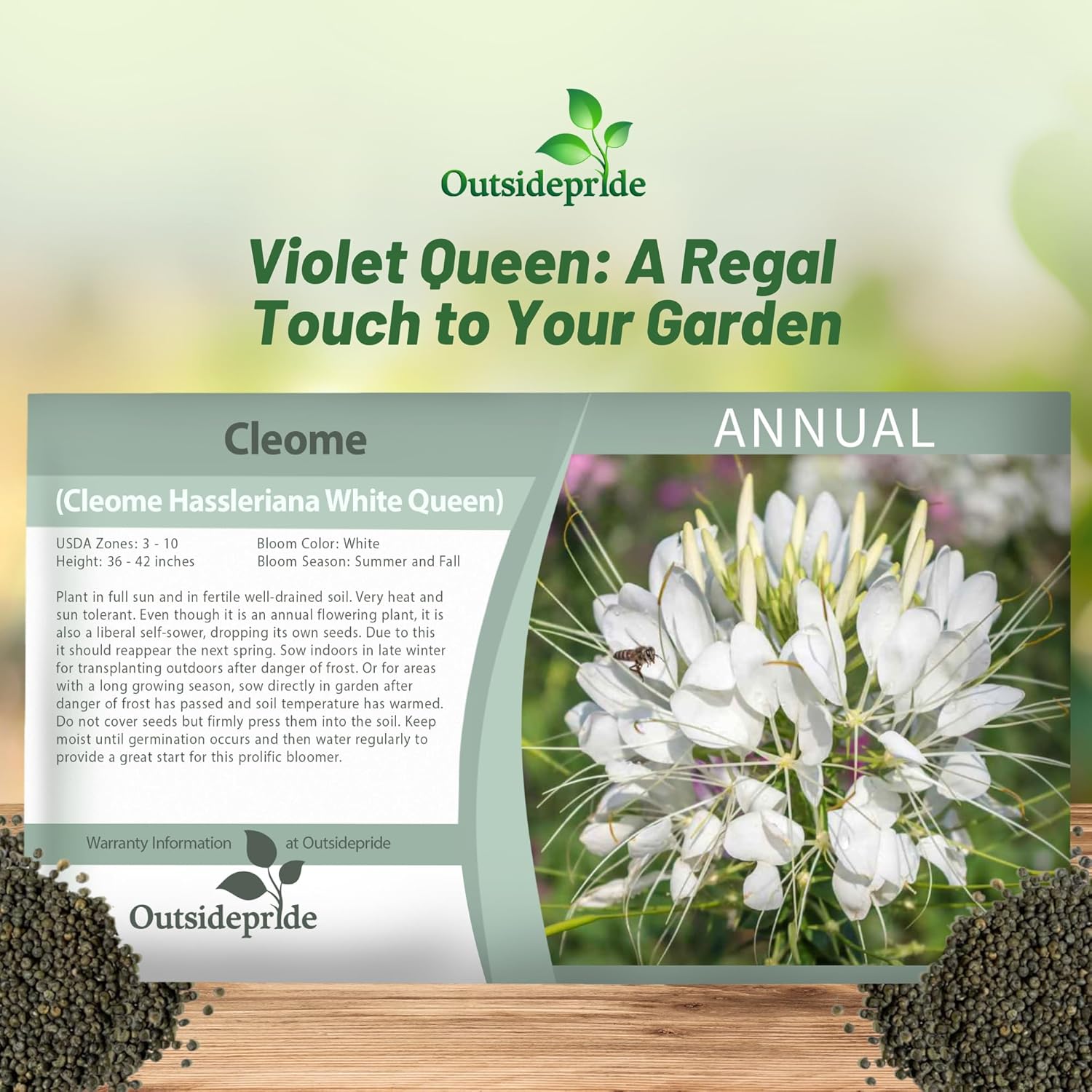 Cleome White Flower Seed Packet