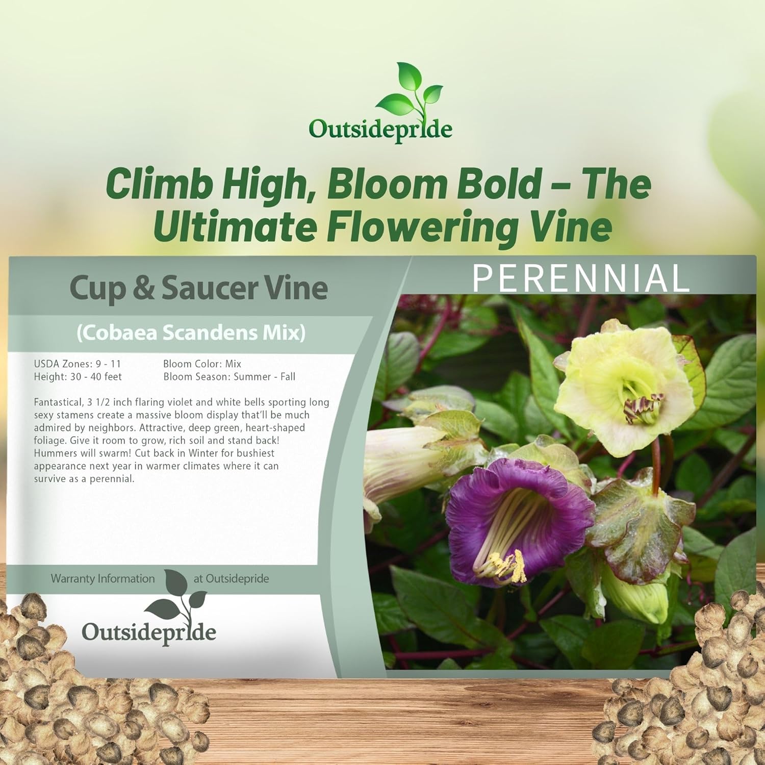 Cobaea Mix Flower Seed Packet
