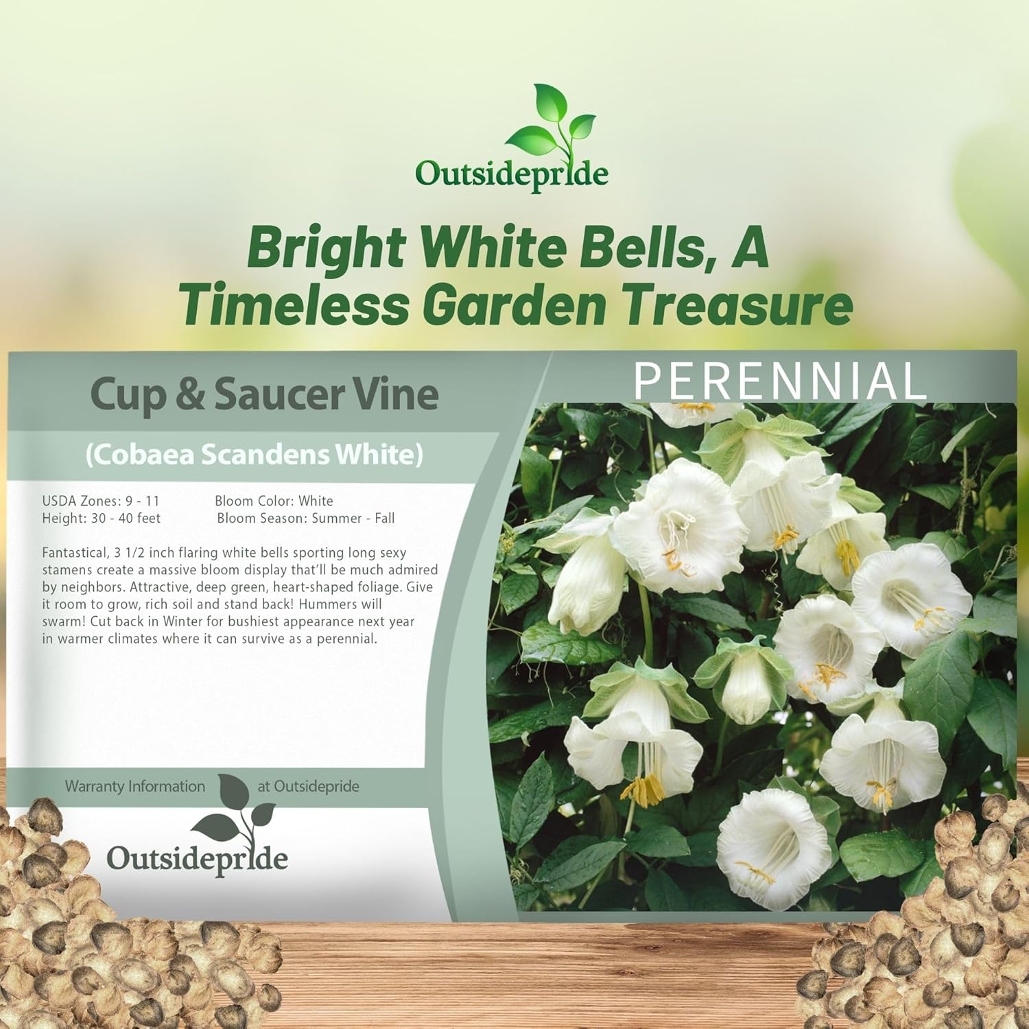 Cobaea White Flower Seed Packet