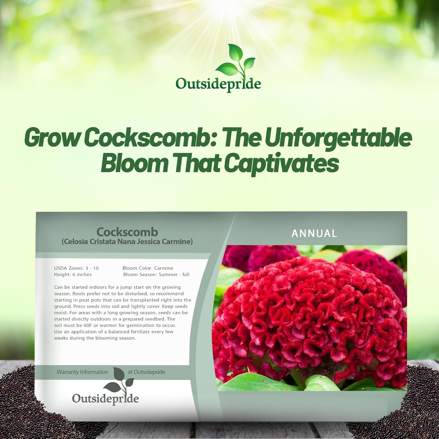 Cockscomb Carmine Carmine Seed Packetg