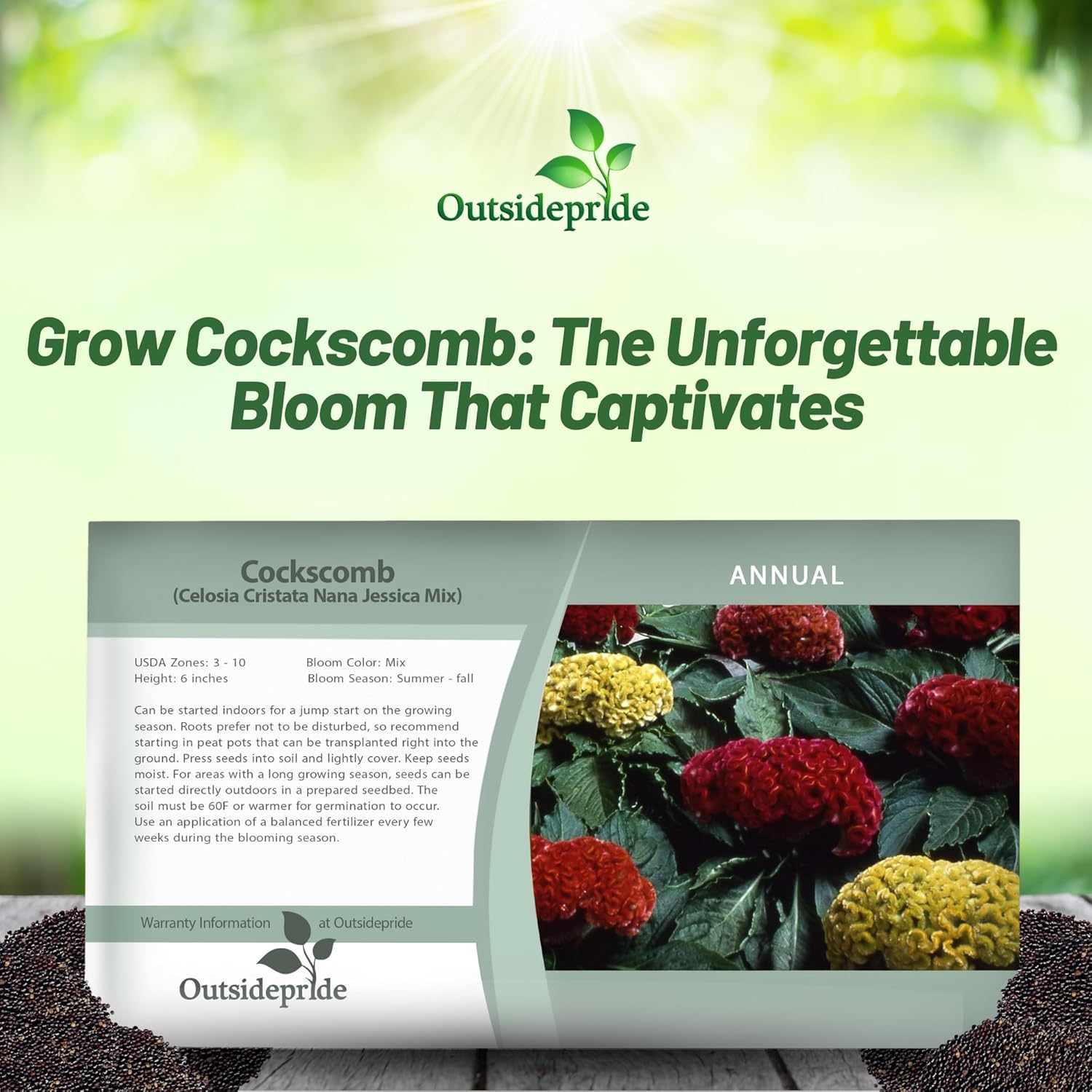 Cockscomb Flower Seed Packet Mix