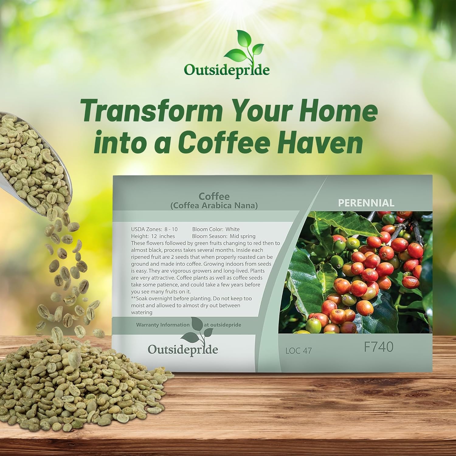 Coffee Flower Seed Packet