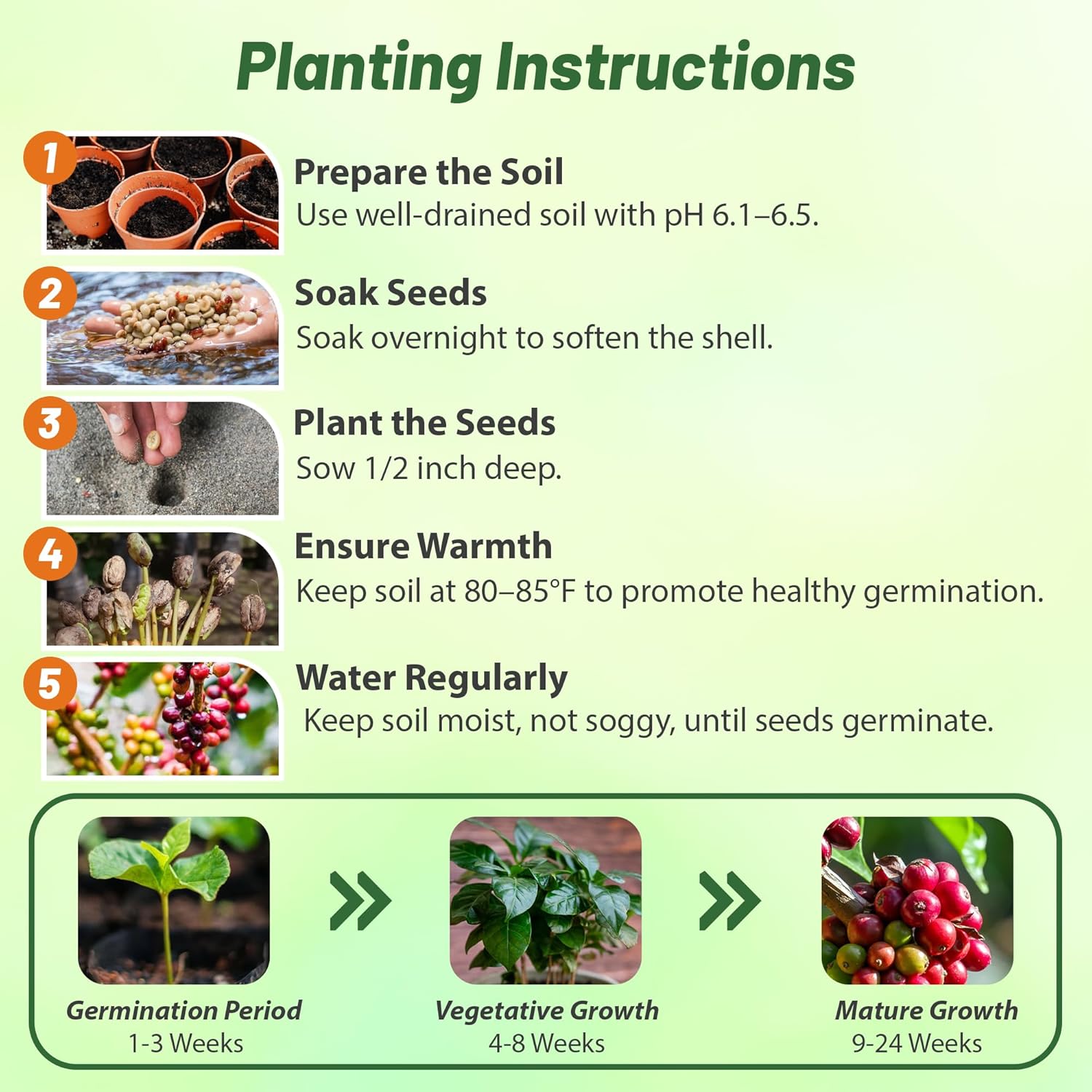 Coffee Flower Planting Directions