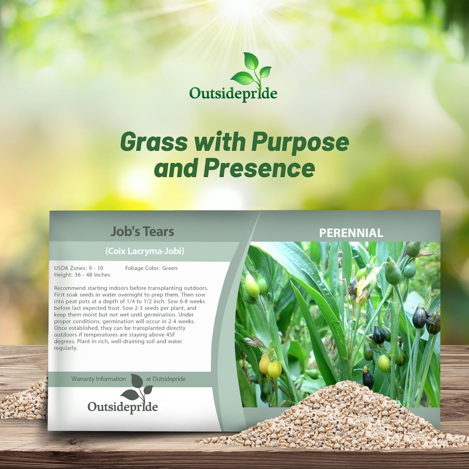 Coix Flower Seed Packet