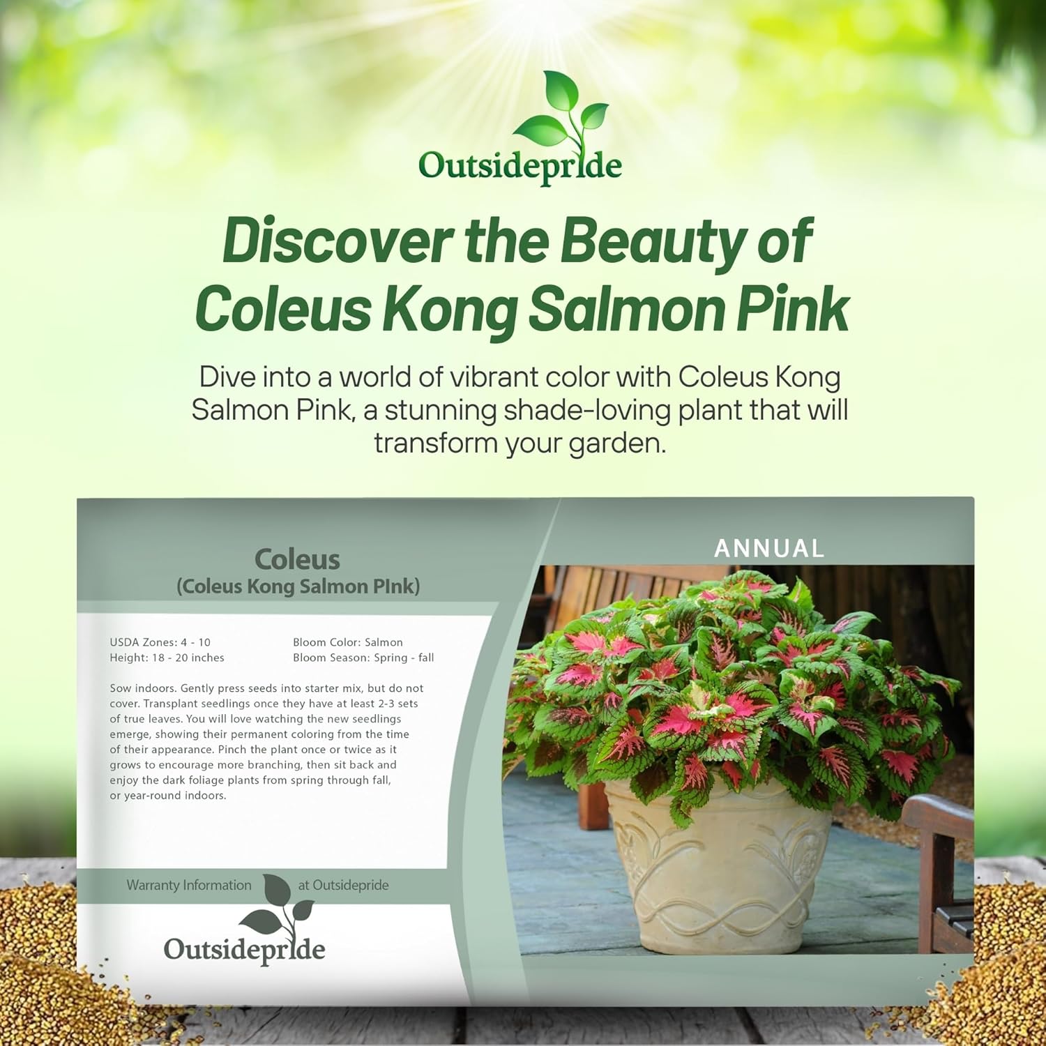 Coleus Kong Salmon Pink Seed Packet