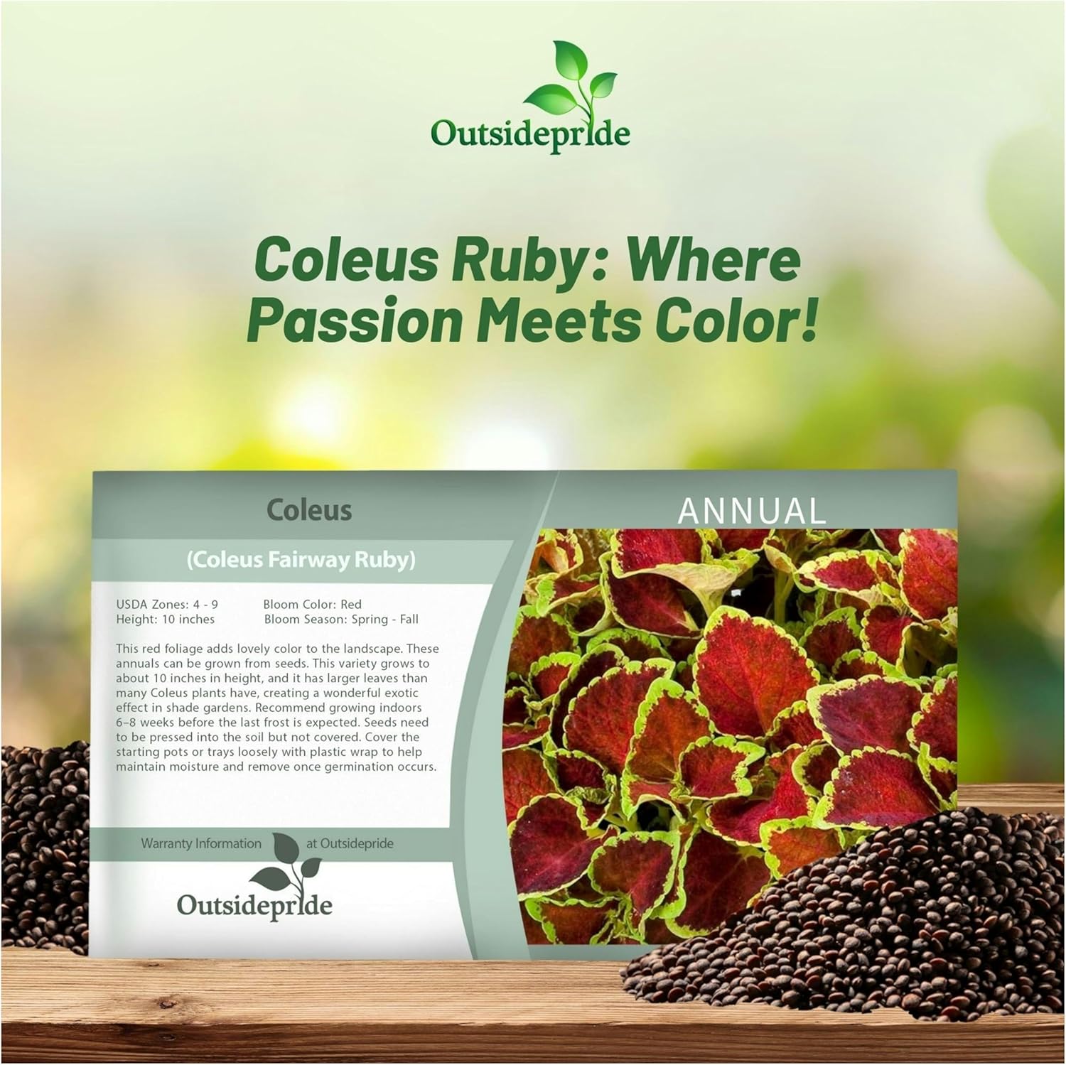 Coleus Fairway Ruby Seed Packet