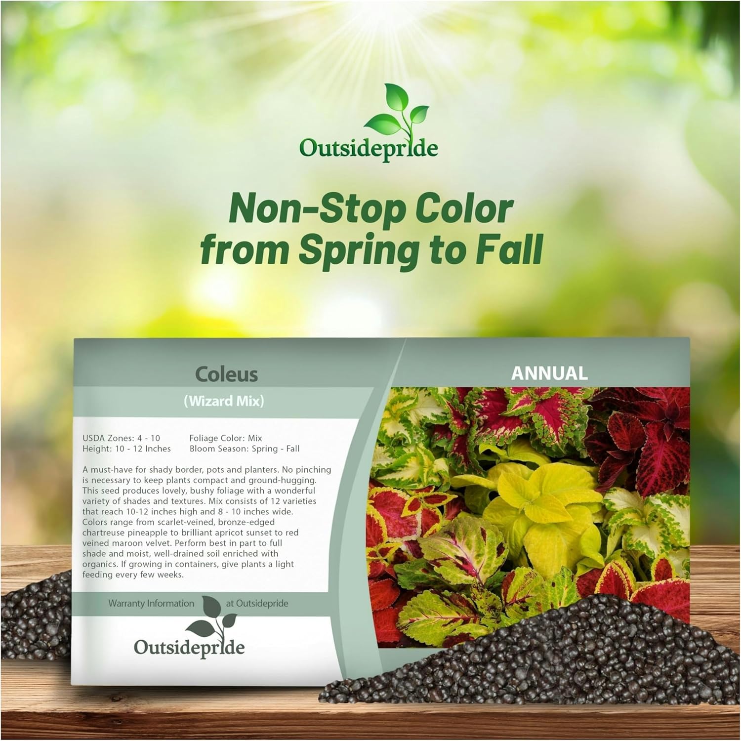 Coleus Wizard Seed Packet