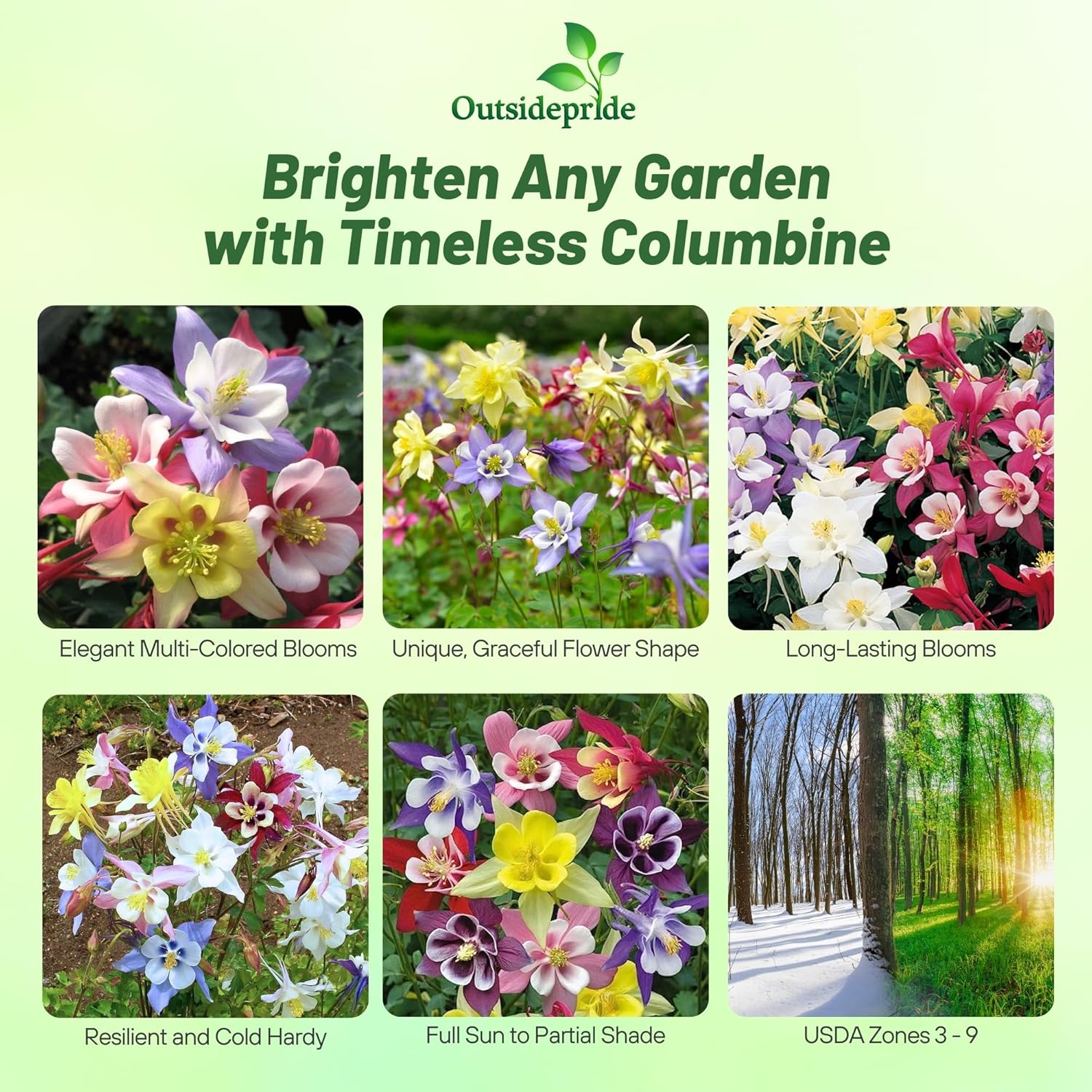 Columbine Seed Mixture