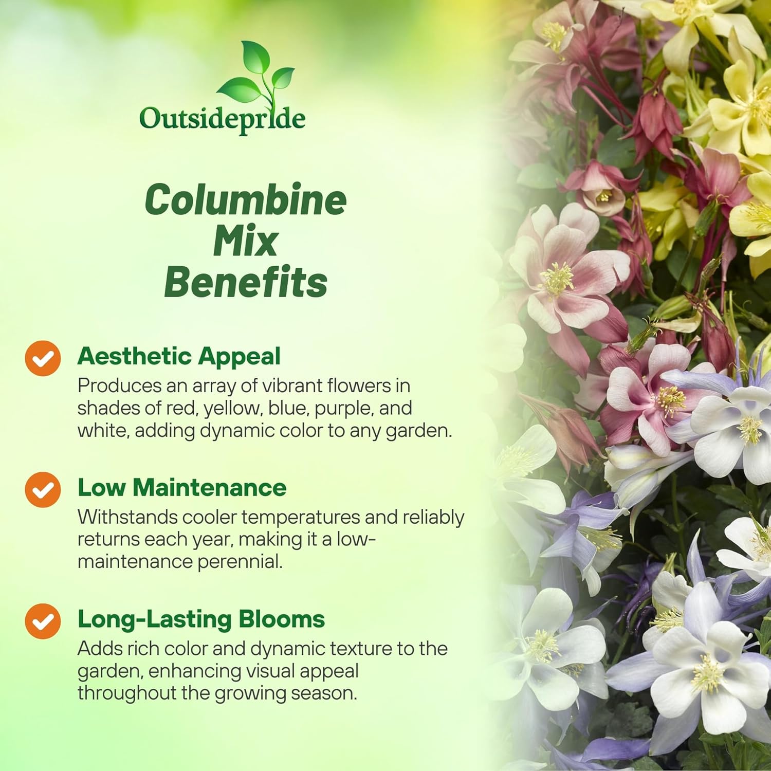 Columbine Flower Mix