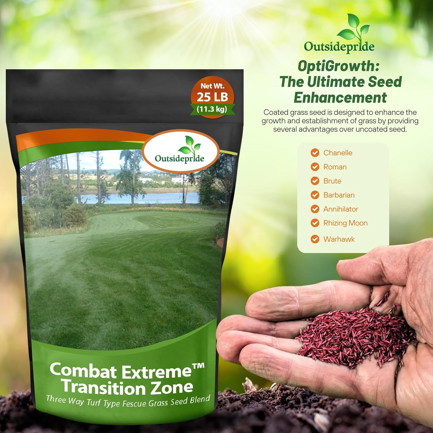 Turf Type Fescue Grass Blend