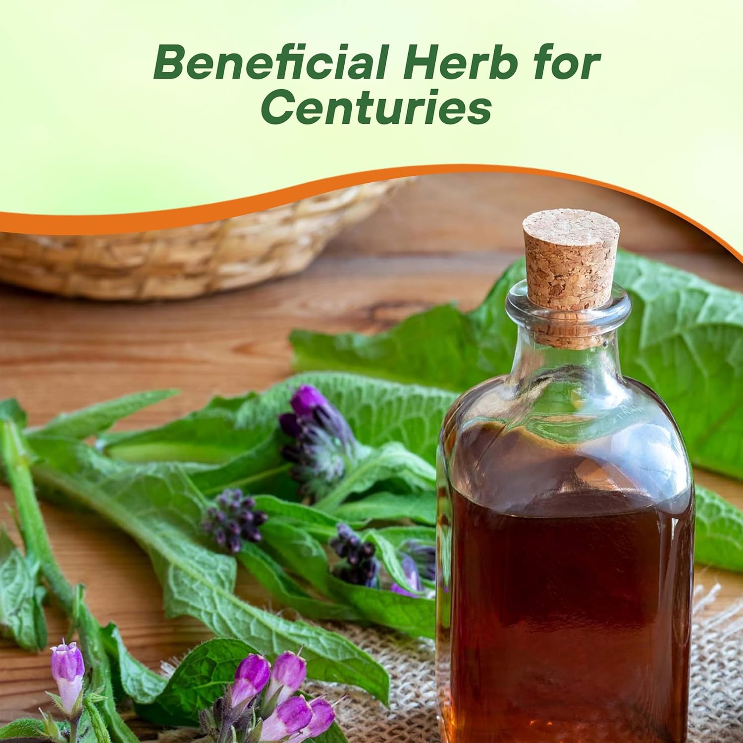 Comfrey Healing Herb Garden Plant