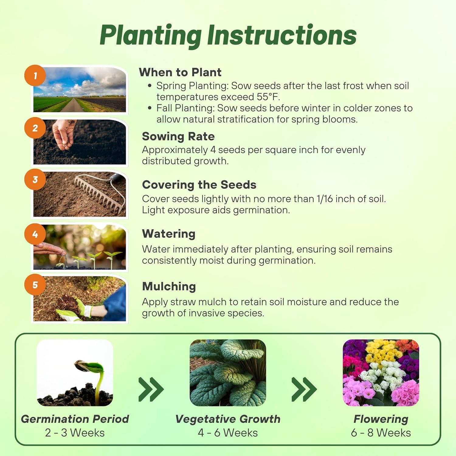 Common Primrose Primlet Planting Directions