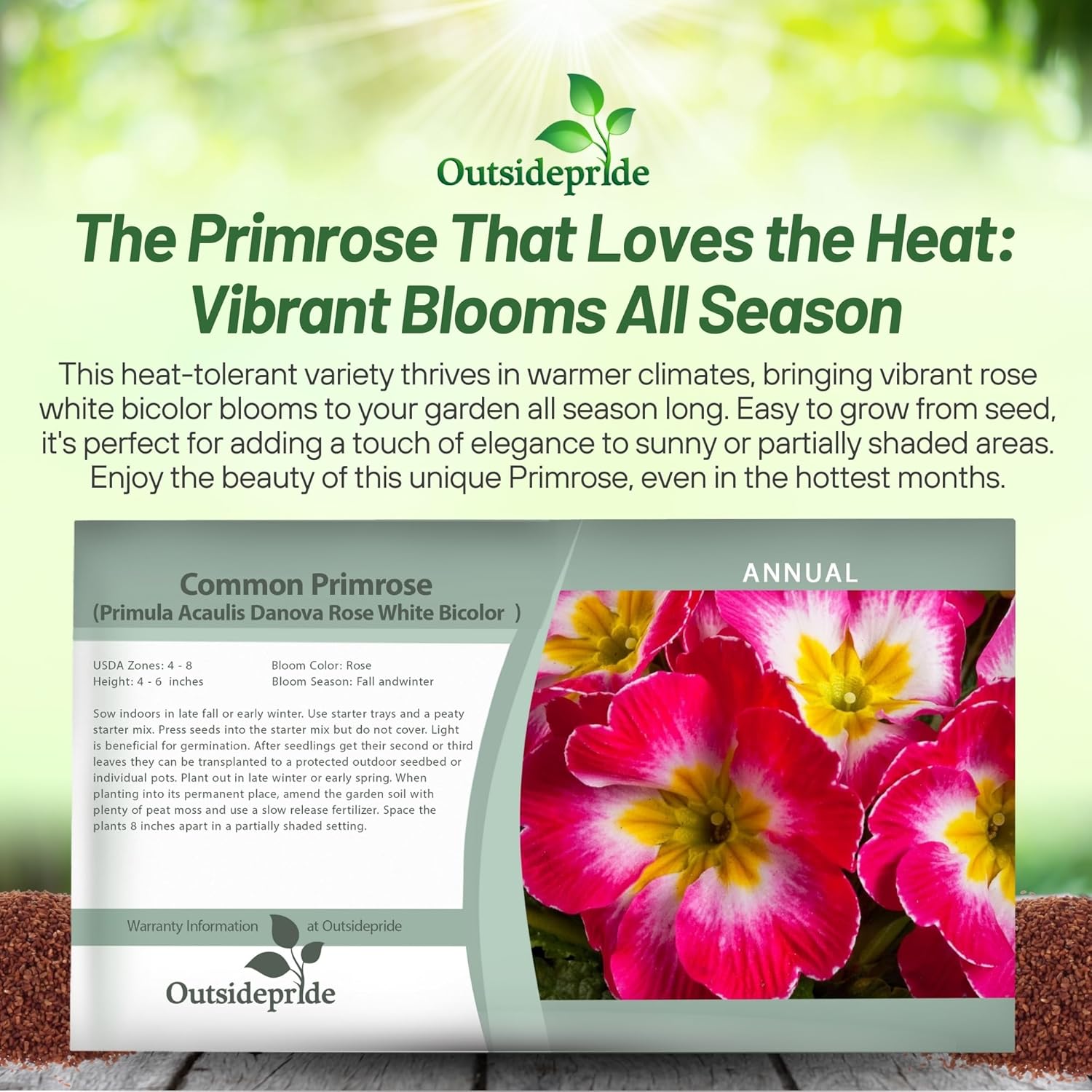 Common Primrose Rose White Bicolor Seed Packet
