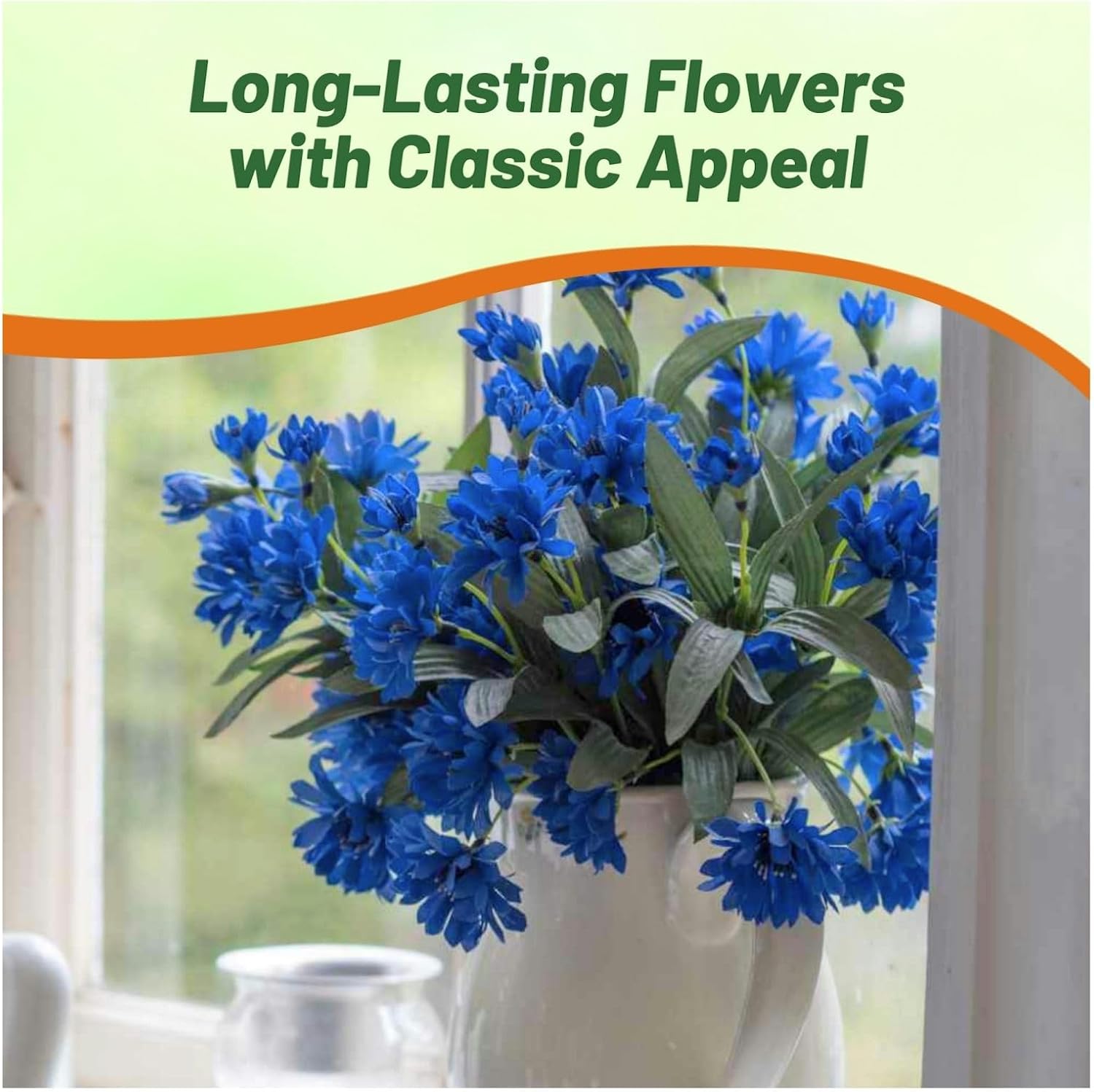 Dwarf Blue Cornflower Flowers
