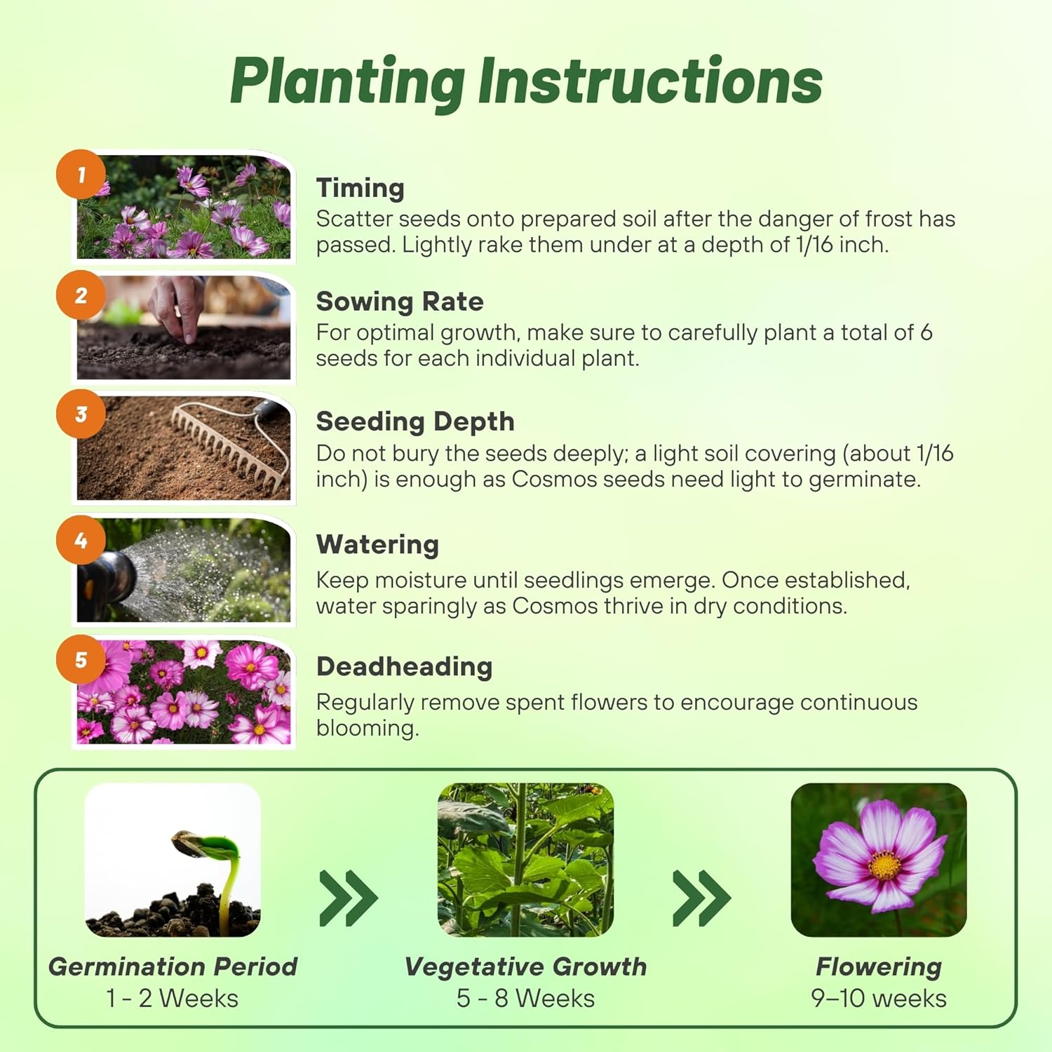 Cosmos Bipinnatus Capriola Planting Directions