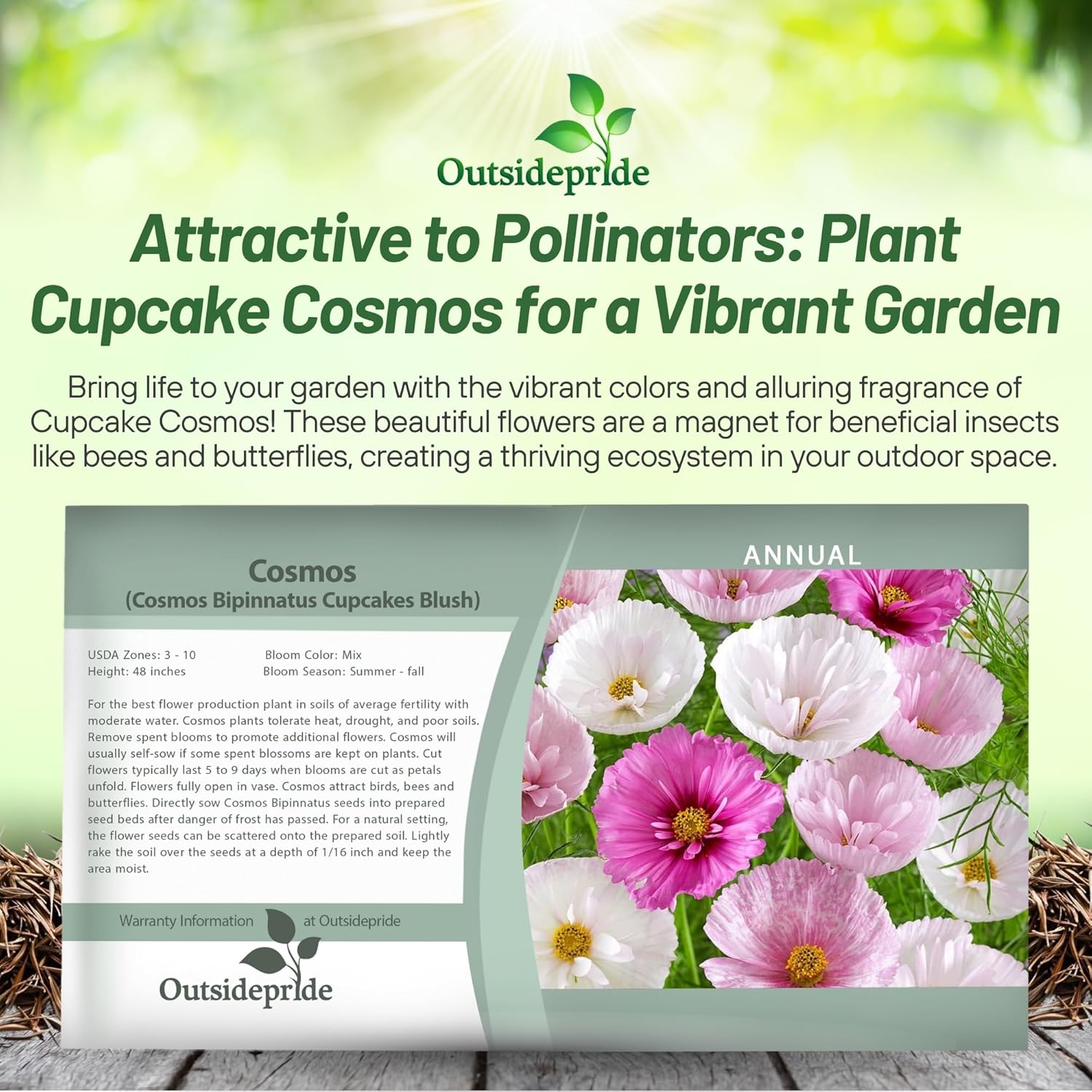 Cosmos Bipinnatus Cupcakes Blush Seed Packet