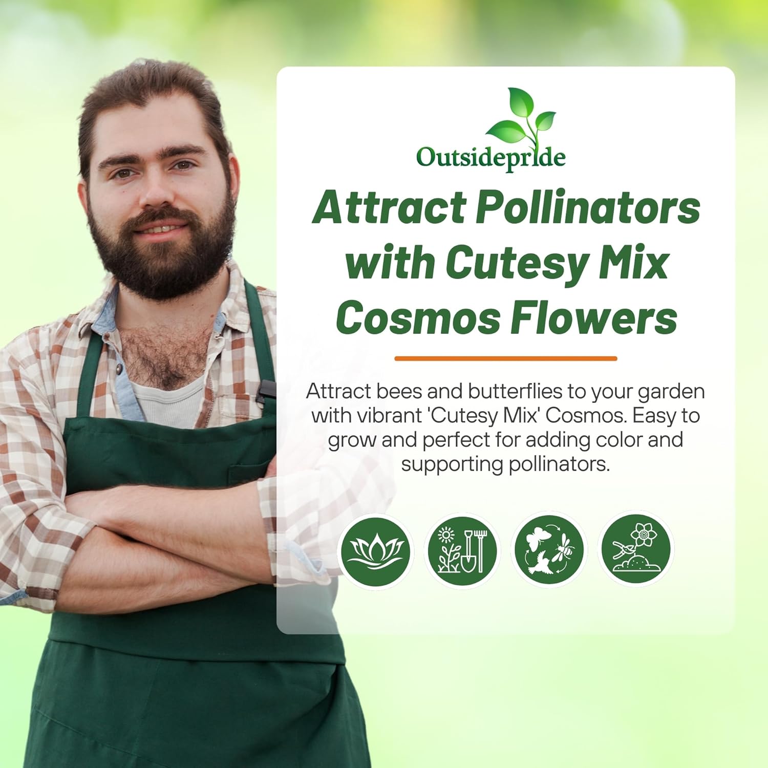 Cosmos Bipinnatus Cutesy Flower Seed Mix