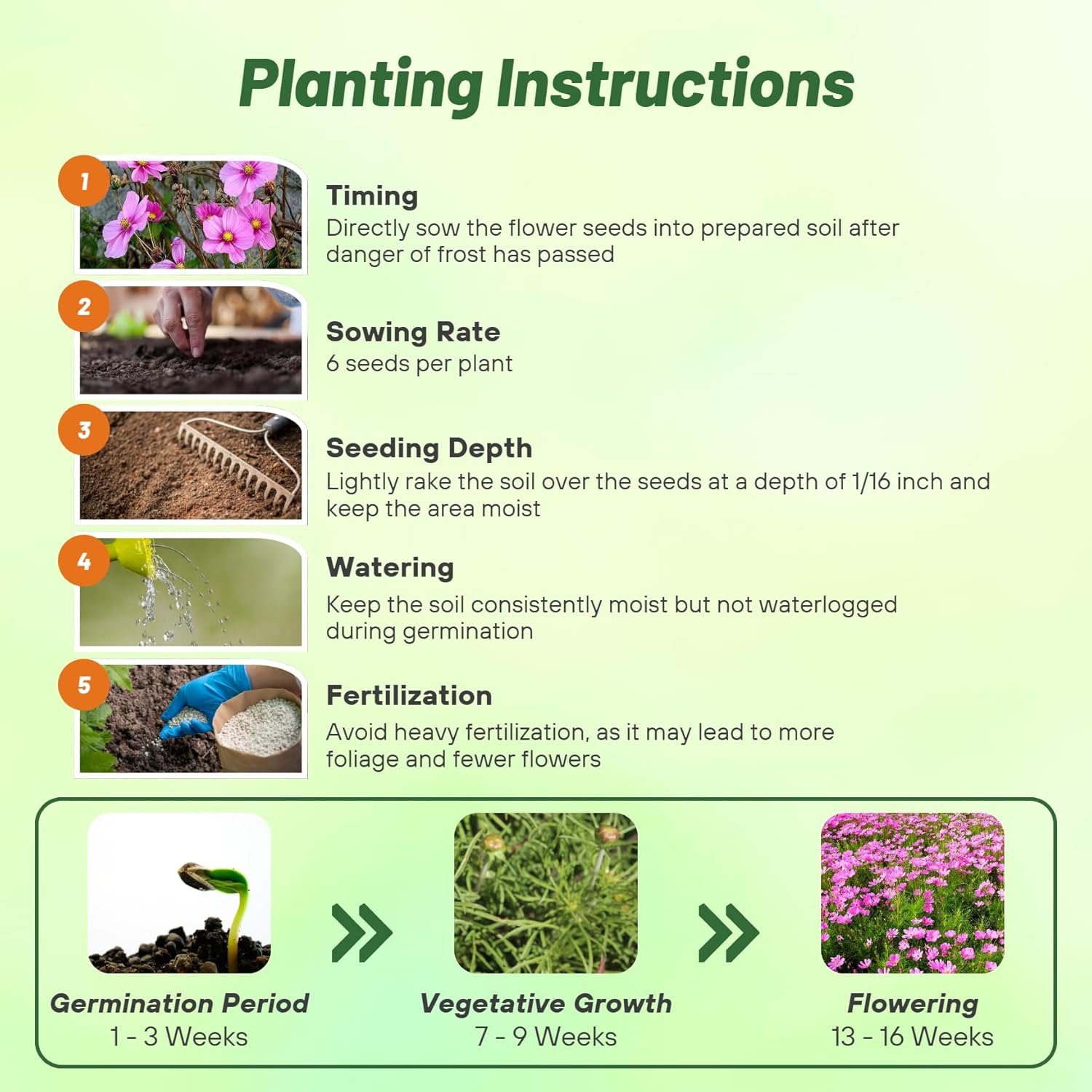Cosmos Bipinnatus Pinkie Planting Direcdtions
