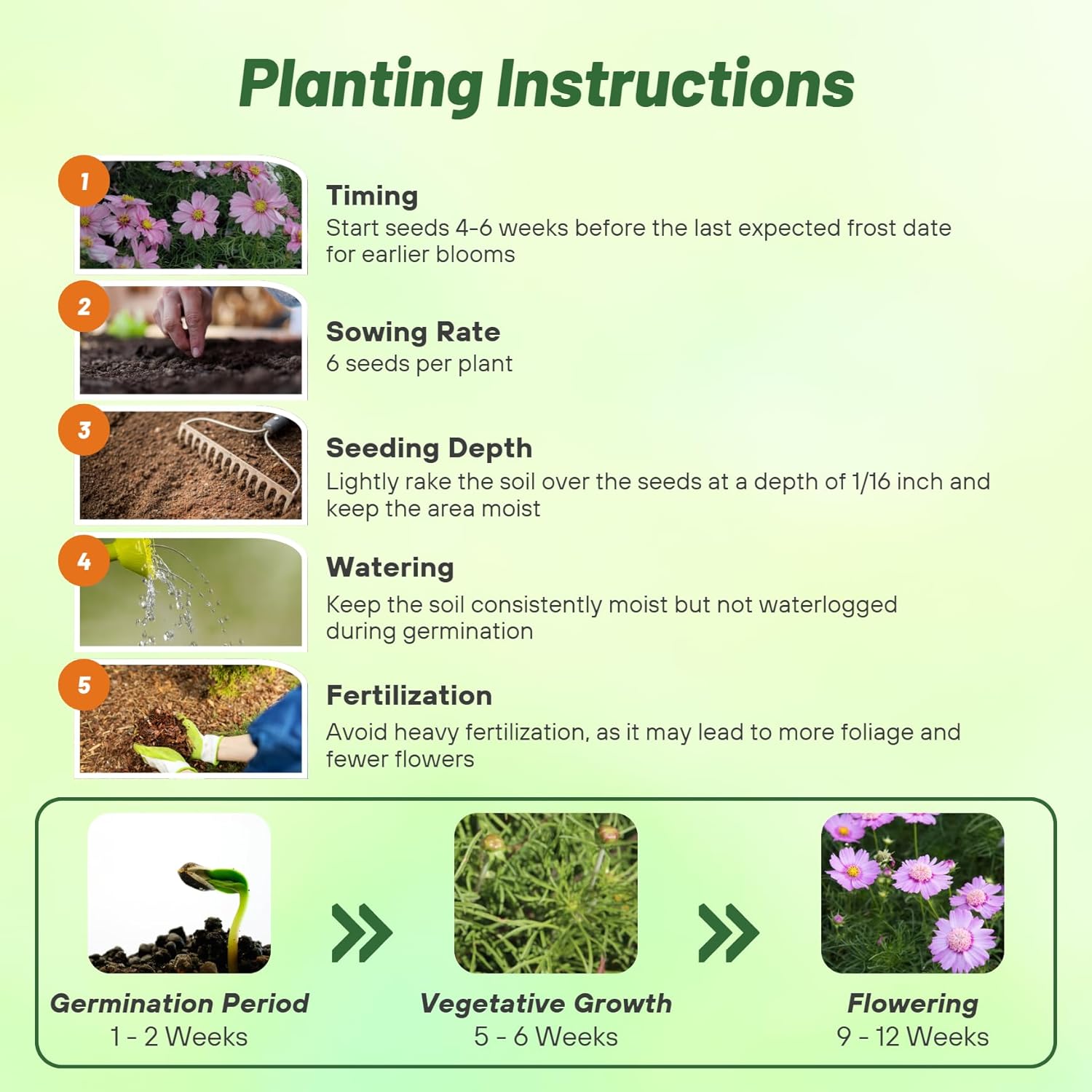 Cosmos Pink Popsocks Planting Directions