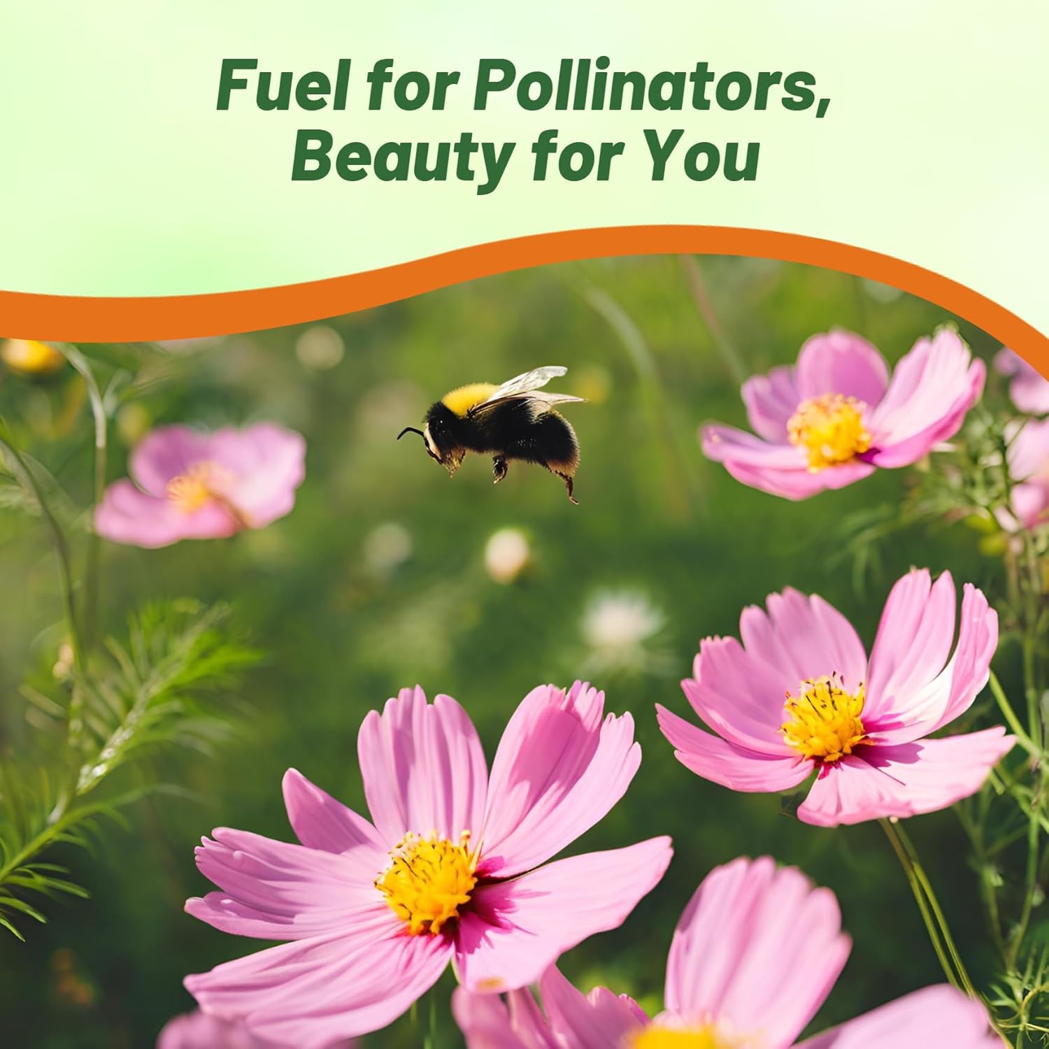 Cosmos Bipinnatus Pink Popsocks Flowers Bouquet