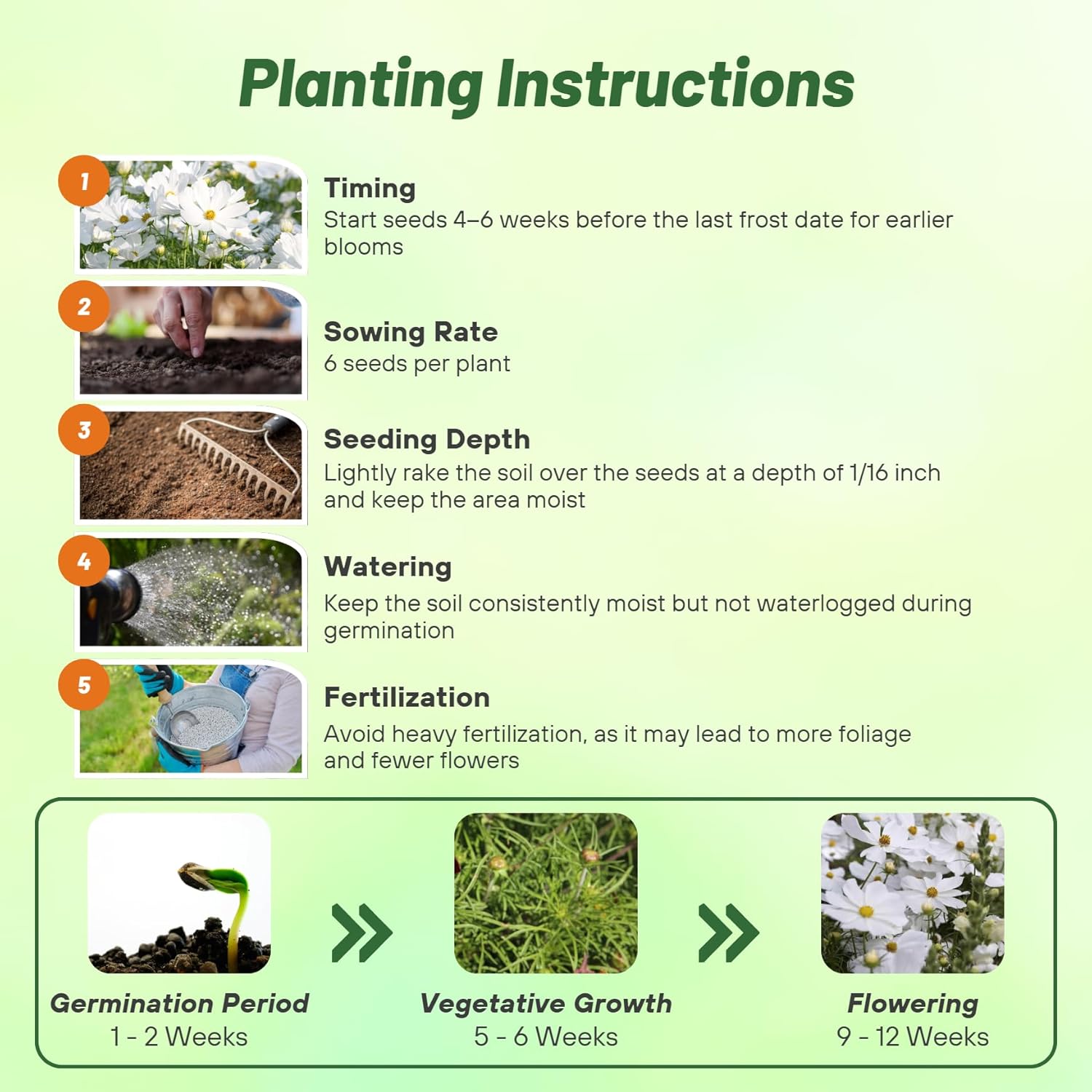 Cosmos Bipinnatus Purity Planting Directions