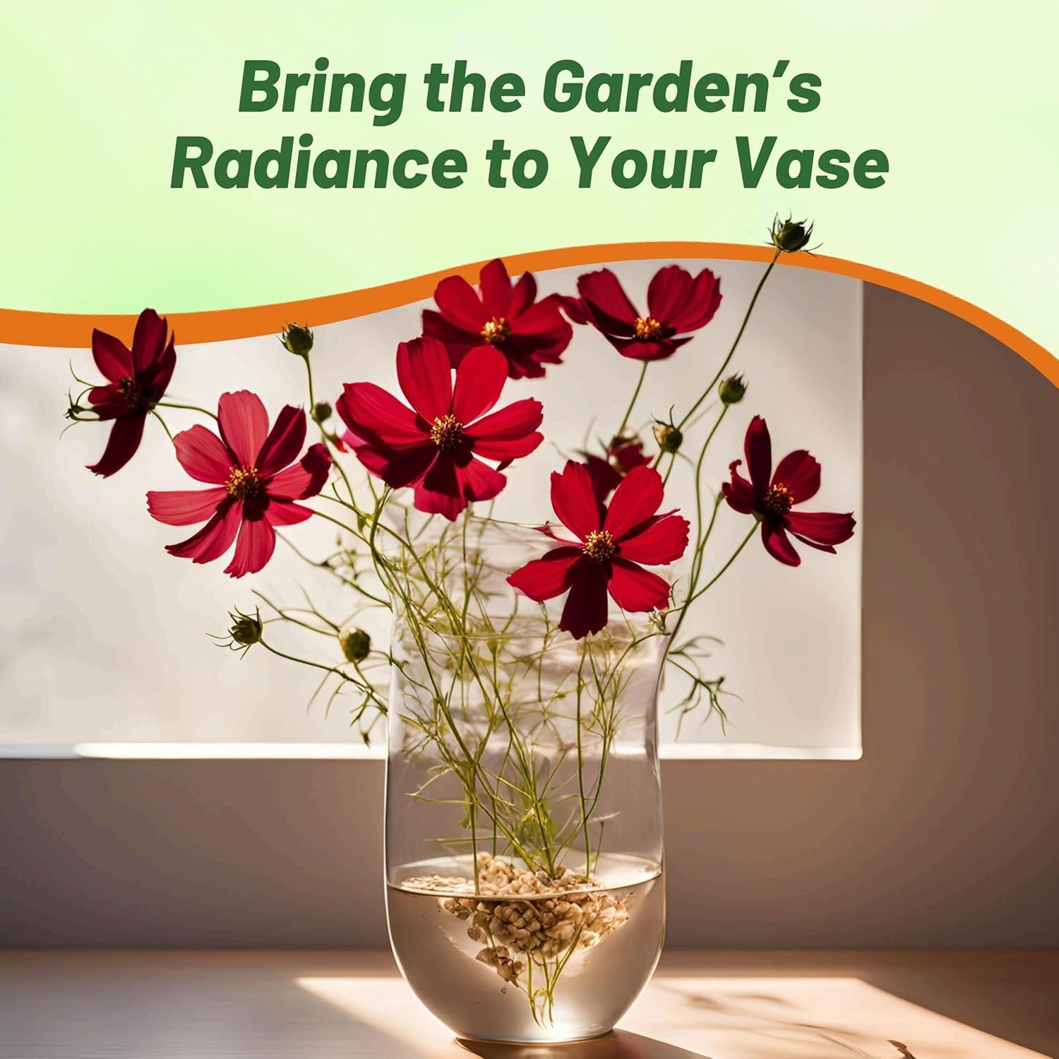 Cosmos Bipinnatus Sonata Red Shades Seeds