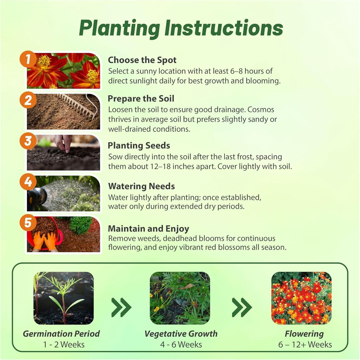 Cosmos Sulphureus Red Planting directions