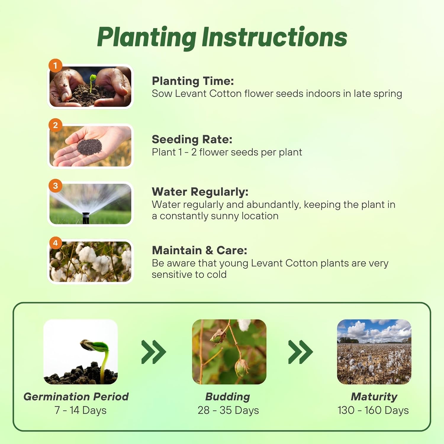 Cotton Seed Planting Directions