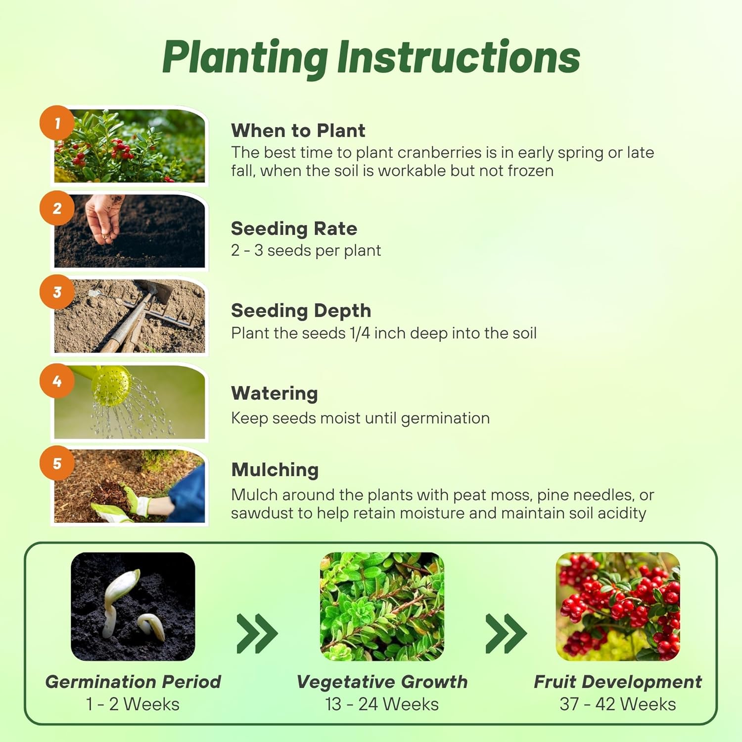 Cranberry Fruit Planting Directions