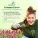 Crimson Clover Inoculation