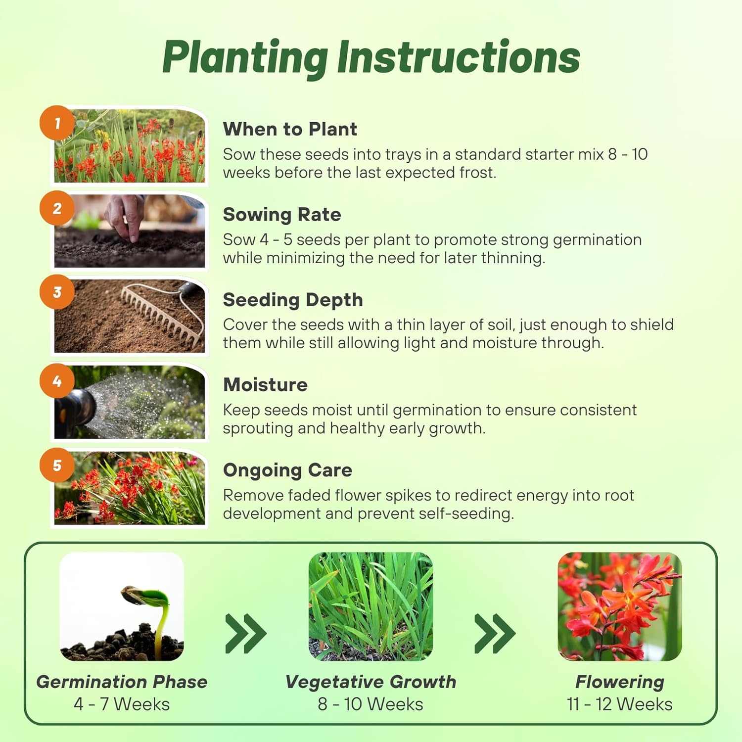 Crocosmia Seed Planting Directions