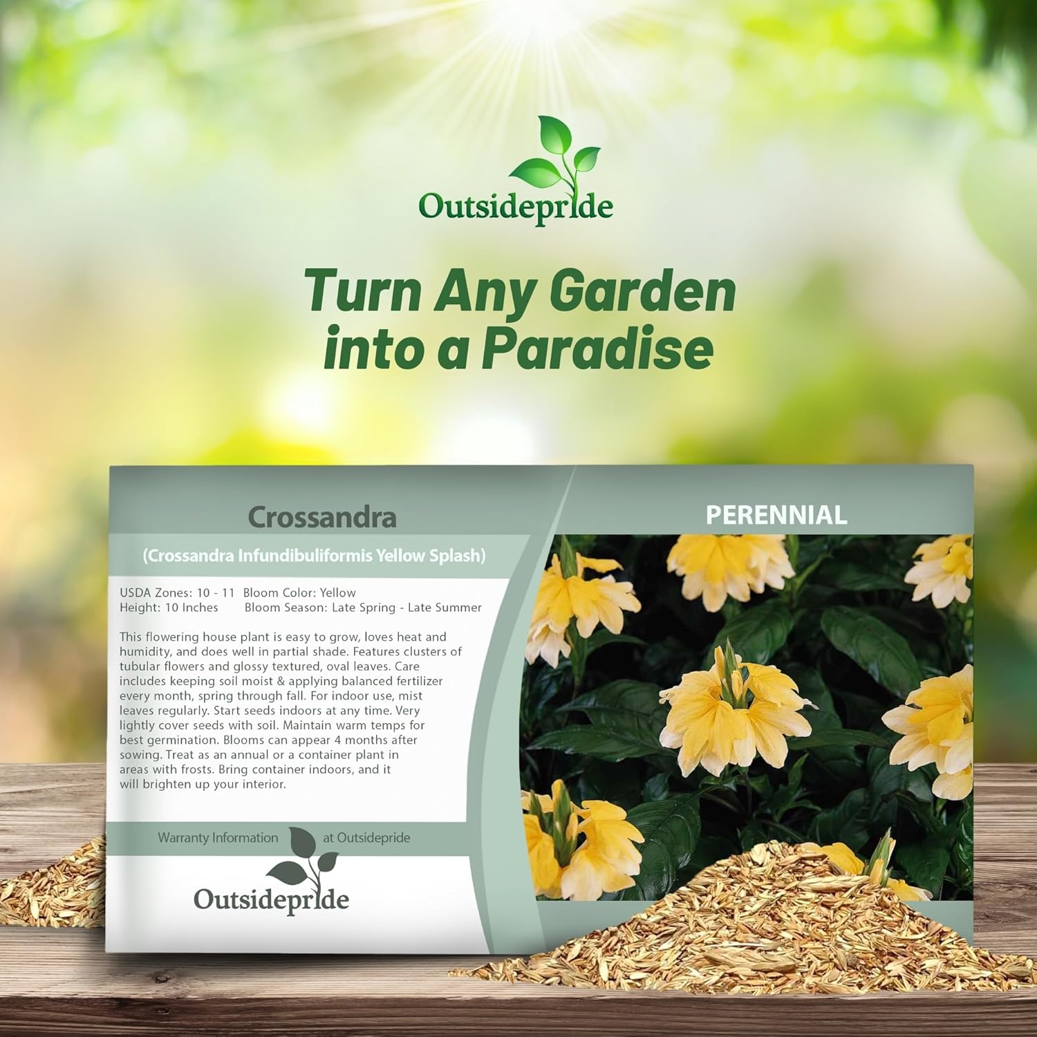 Crossandra Yellow Splash Flower Seed Packet