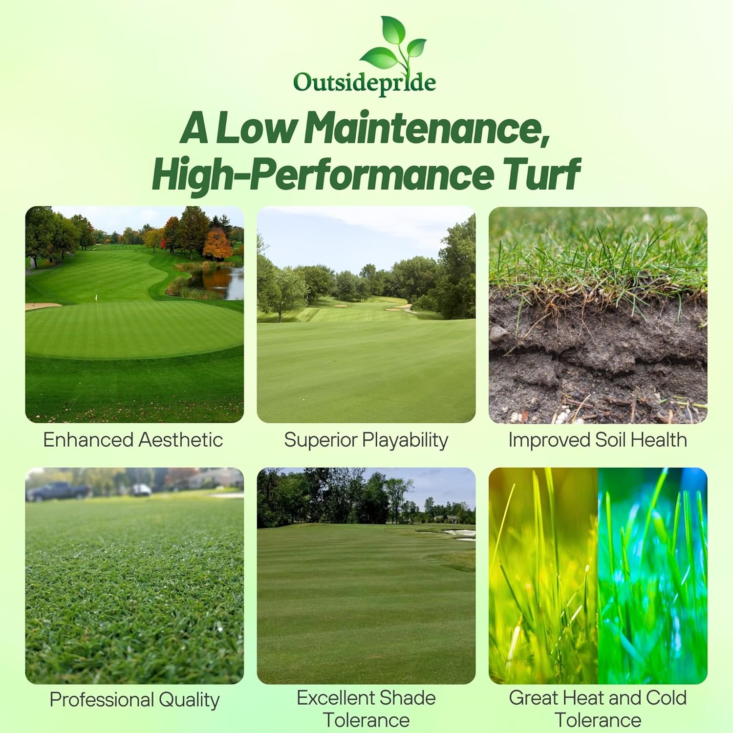 Crystal Bluelinks Putting Green Seed
