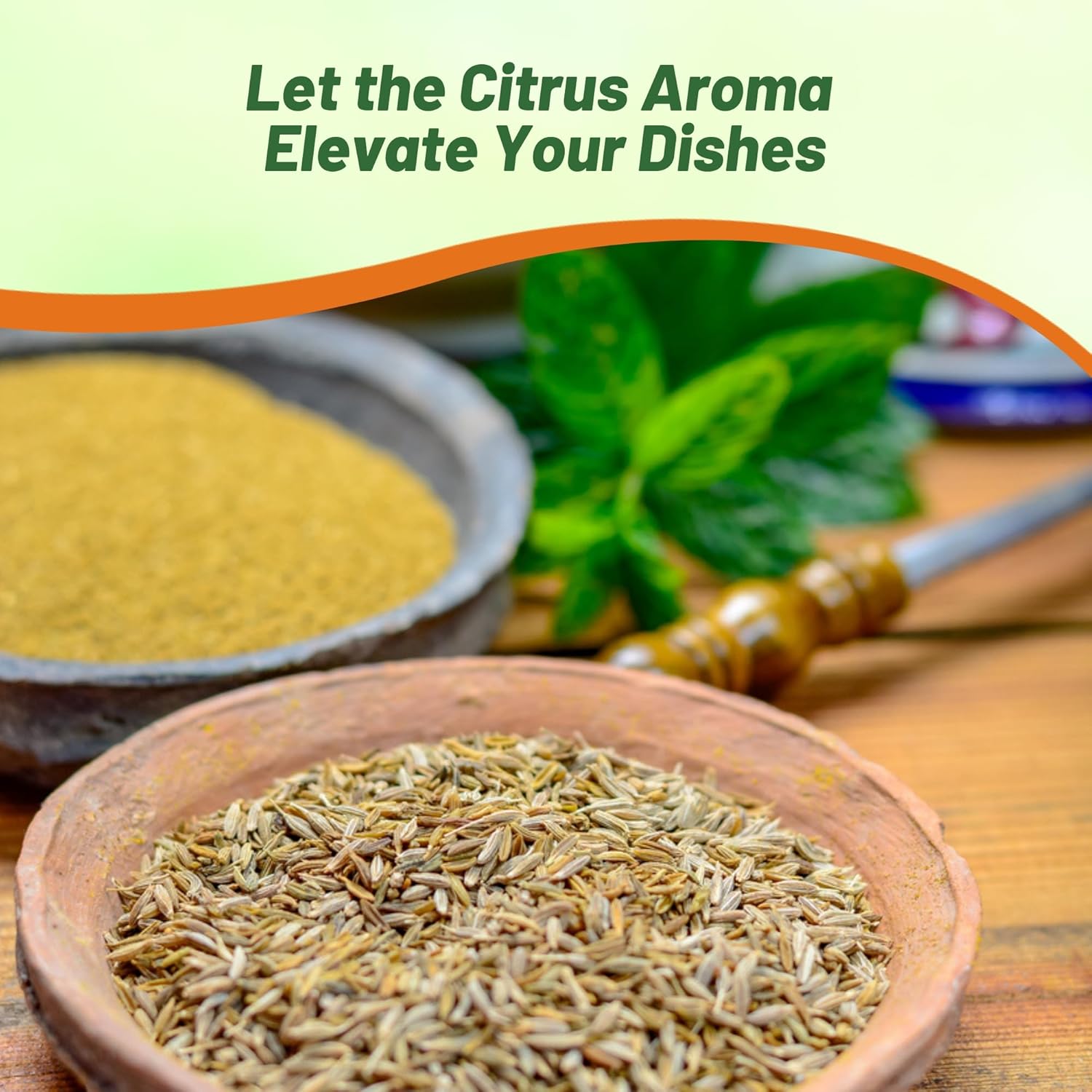 Cumin For Medicinal Herb