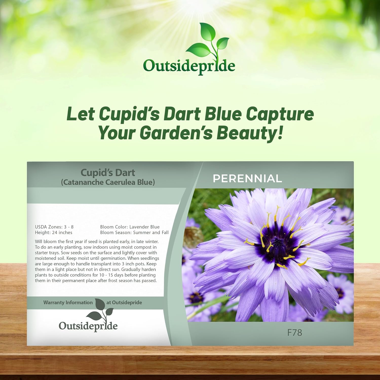 Cupids Dart Blue Flower Seed Packet
