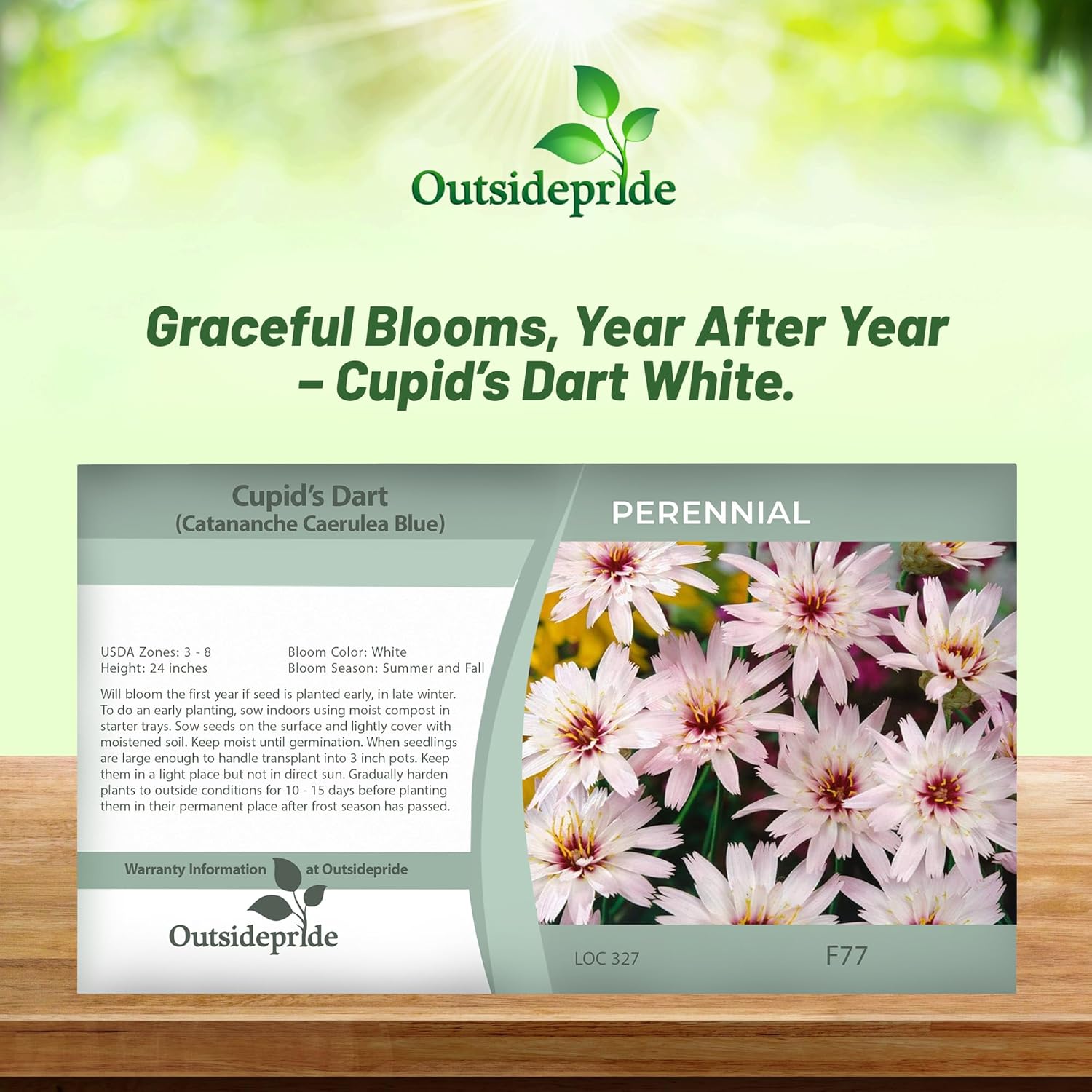 Cupids Dart White Flower Seed Packet