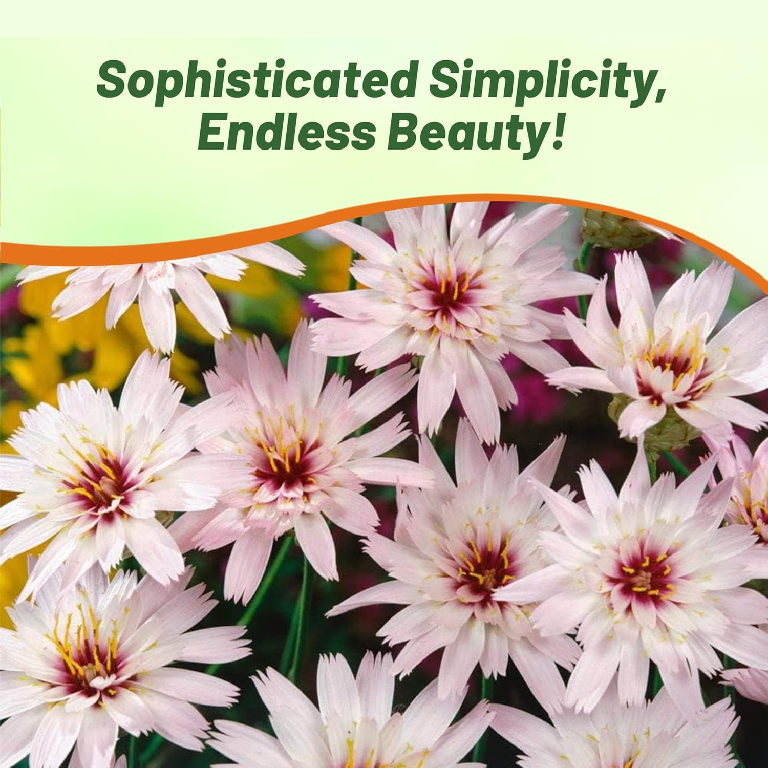 Love Plant White Cut Flowers
