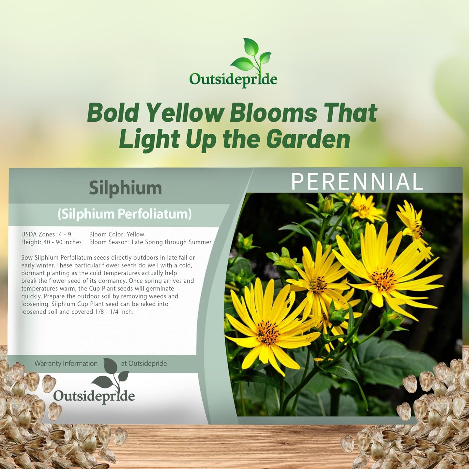 Cup Plant Flower Seed Packet