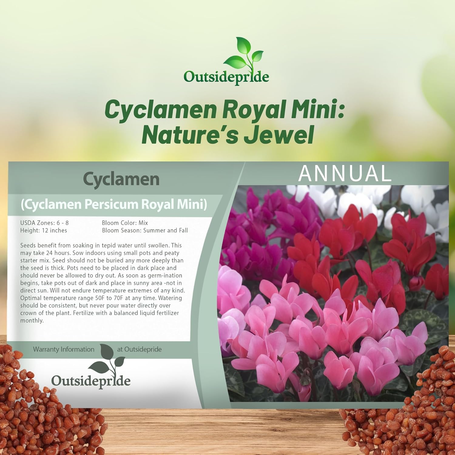 Cyclamen Royal Mini Flower Seed Mix Packet