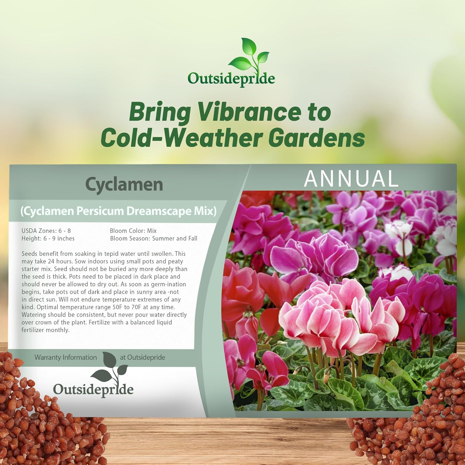 Cyclamen Dreamscape Flower Seed Mix Packet