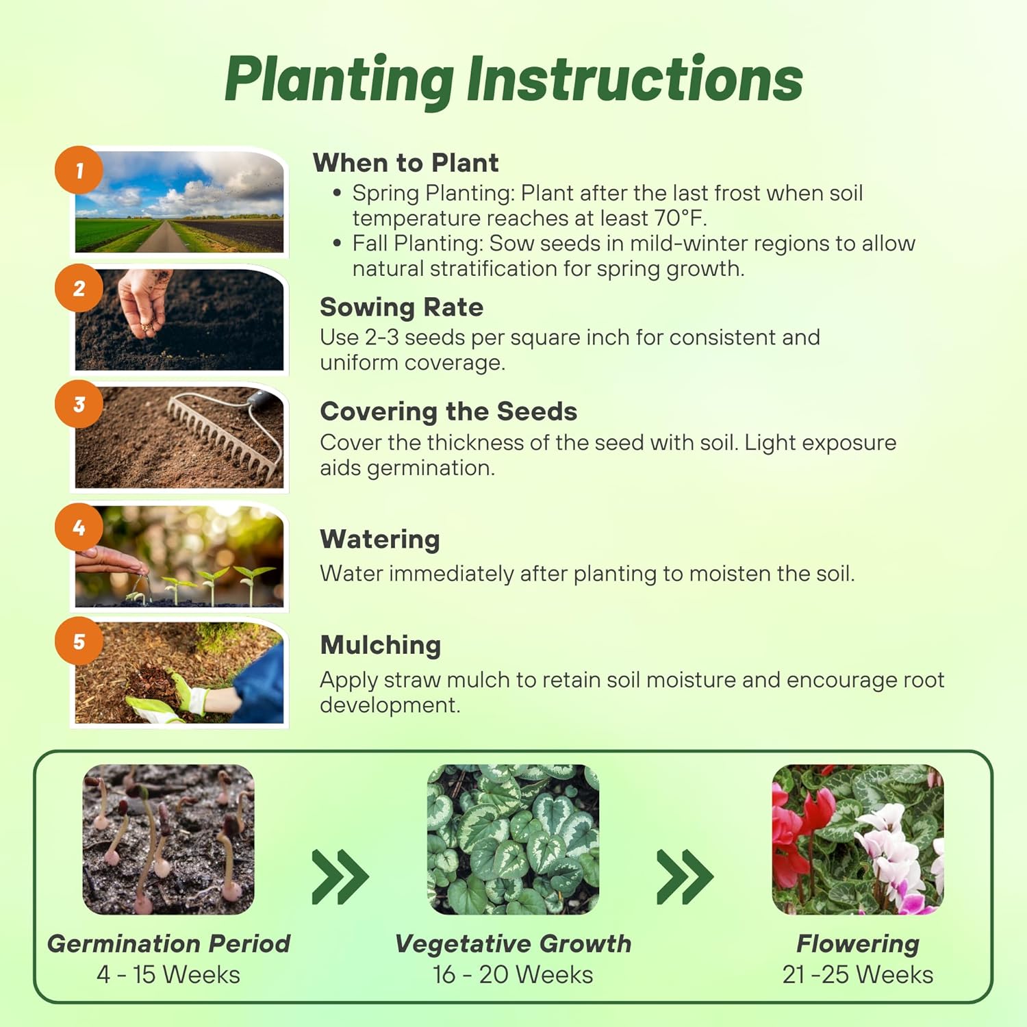 Cyclamen Dreamscape Flower Seed Planting Directions