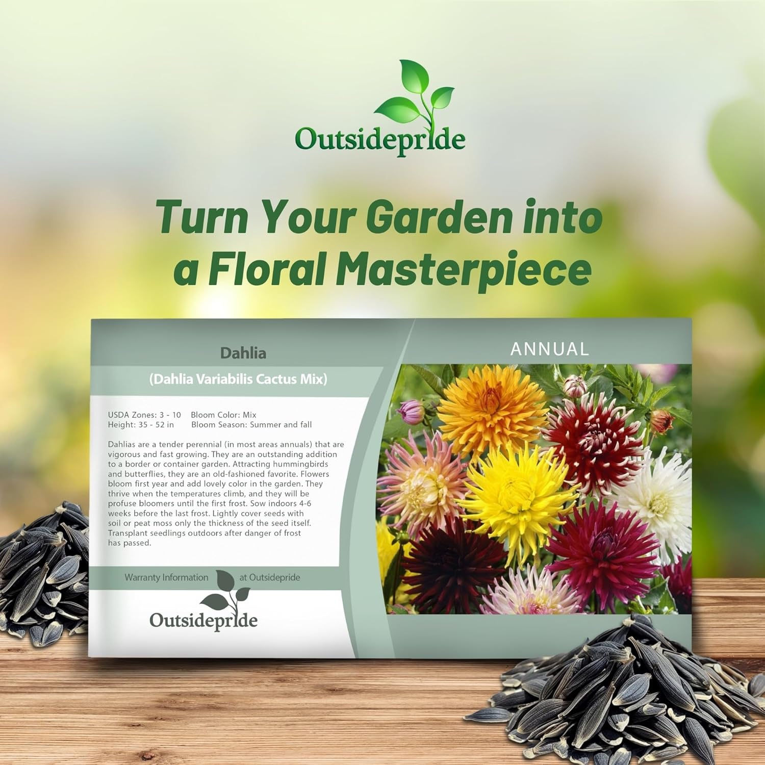 Dahlia Cactus Flower Seed Packet