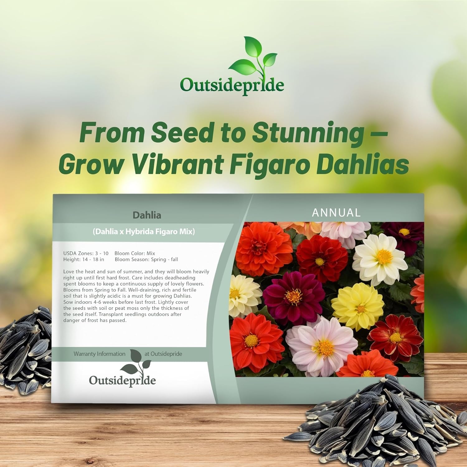 Dahlia Figaro Flower Seed Packet Mix