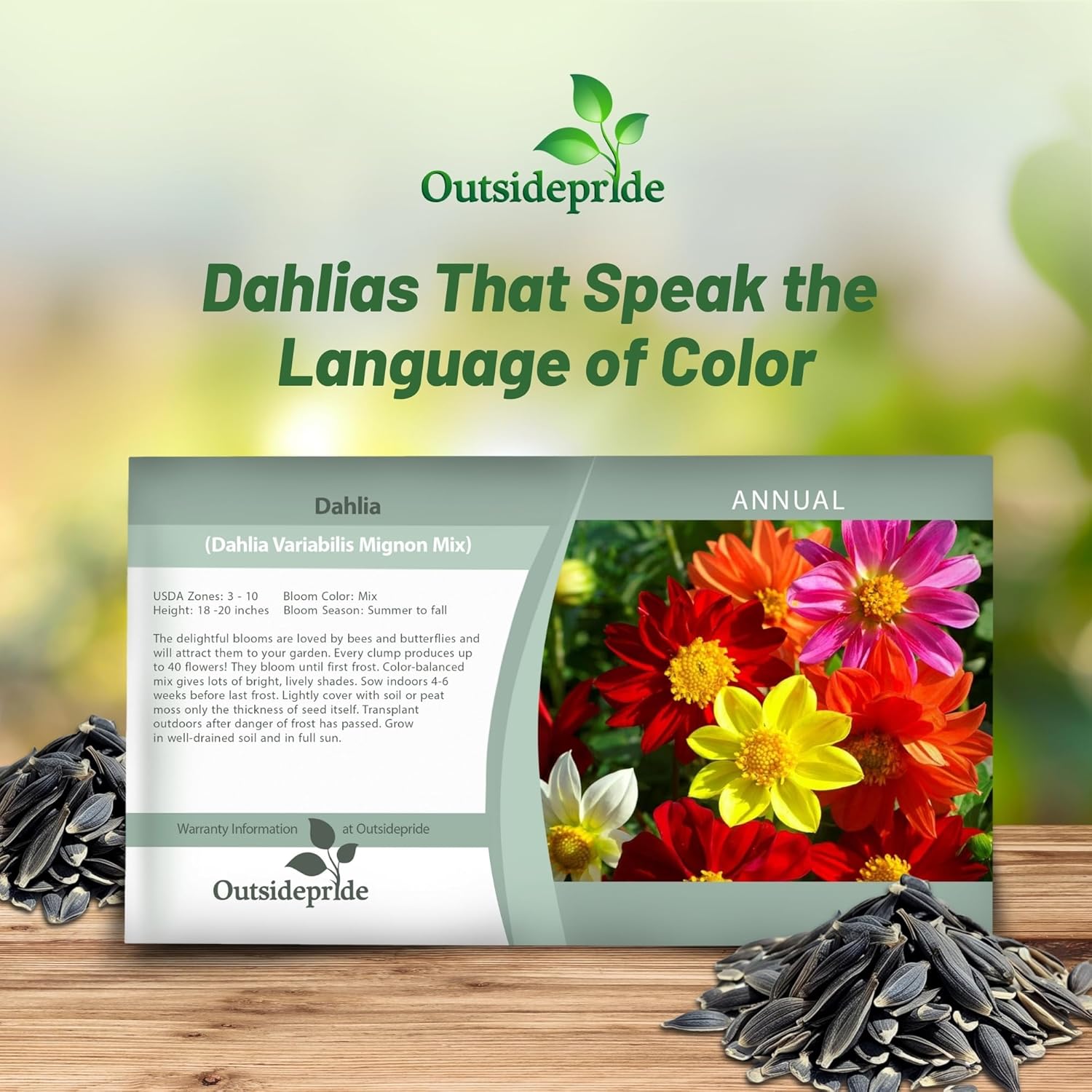 Dahlia Mignon Mix Seed Packet