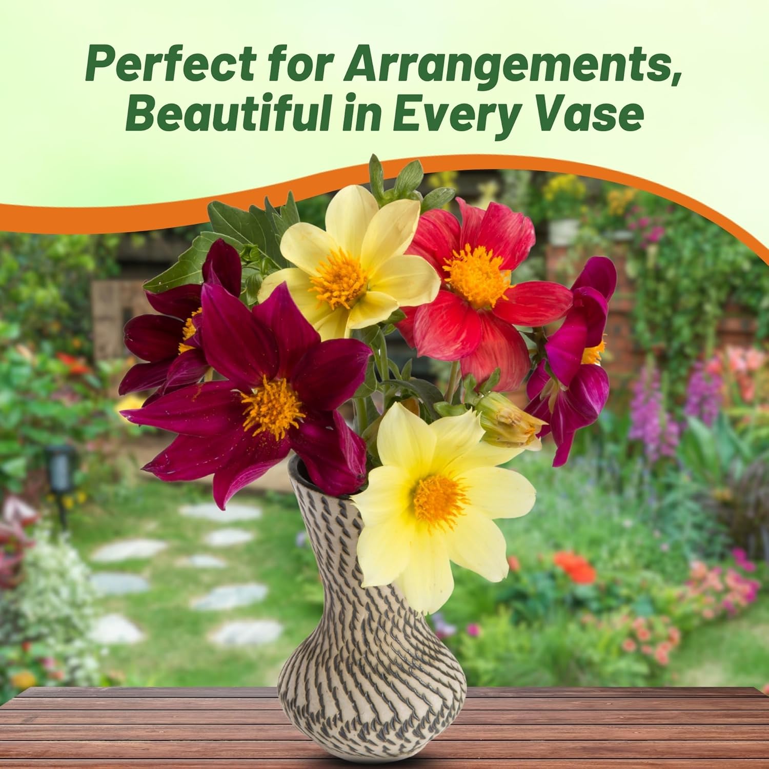 Dahlia Mignon Cut Flower Mix in Vase