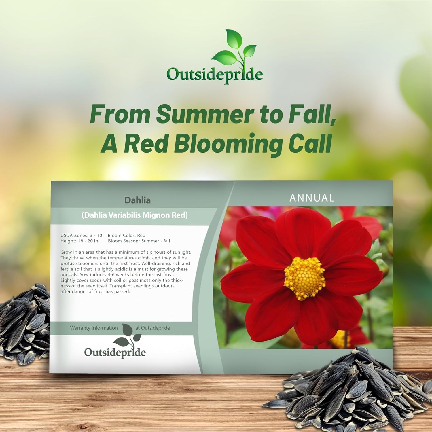 Dahlia Mignon Red Flower Seed Packet