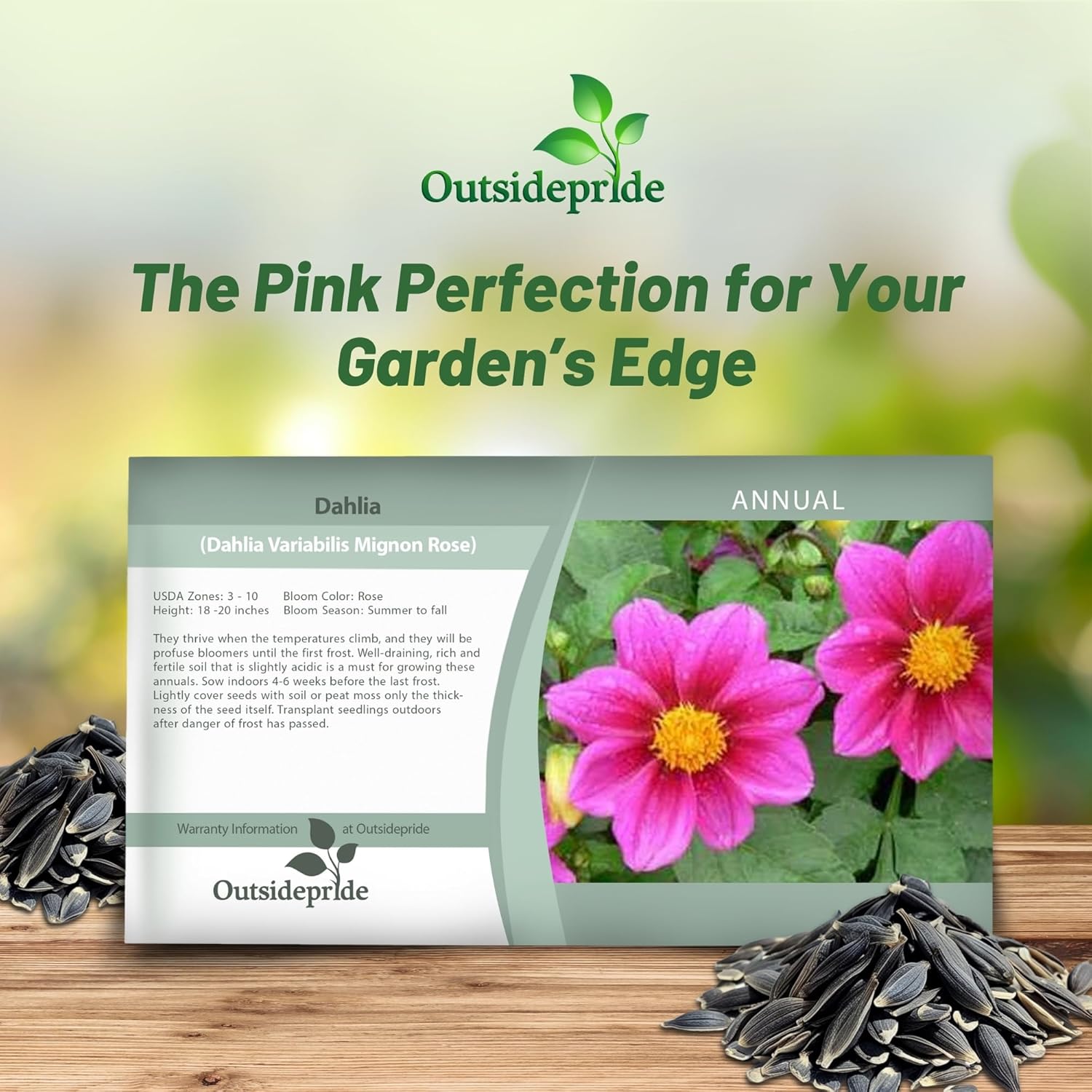 Dahlia Mignon Rose Garden Seed Packet