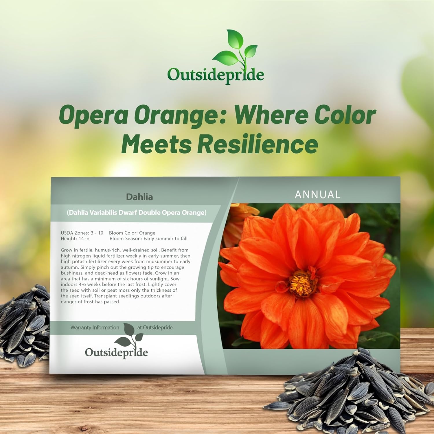 Dahlia Opera Orange Flower Seed Packet